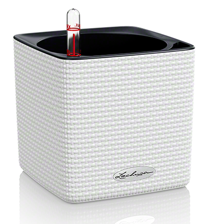 CUBE COLOR — Slate, White — 4"