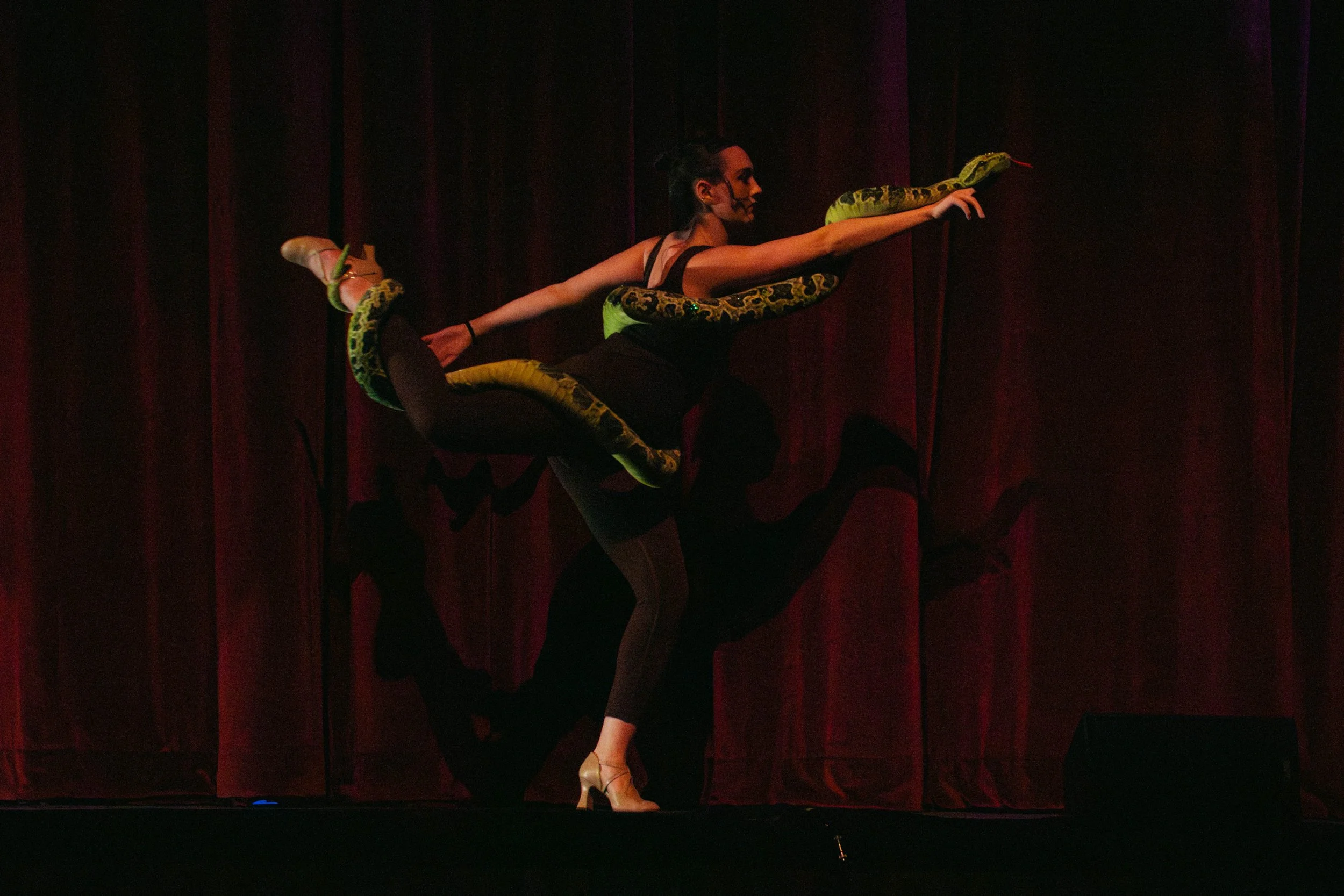 Joseph & the Amazing Technicolor Dreamcoat (Snake/Wife)