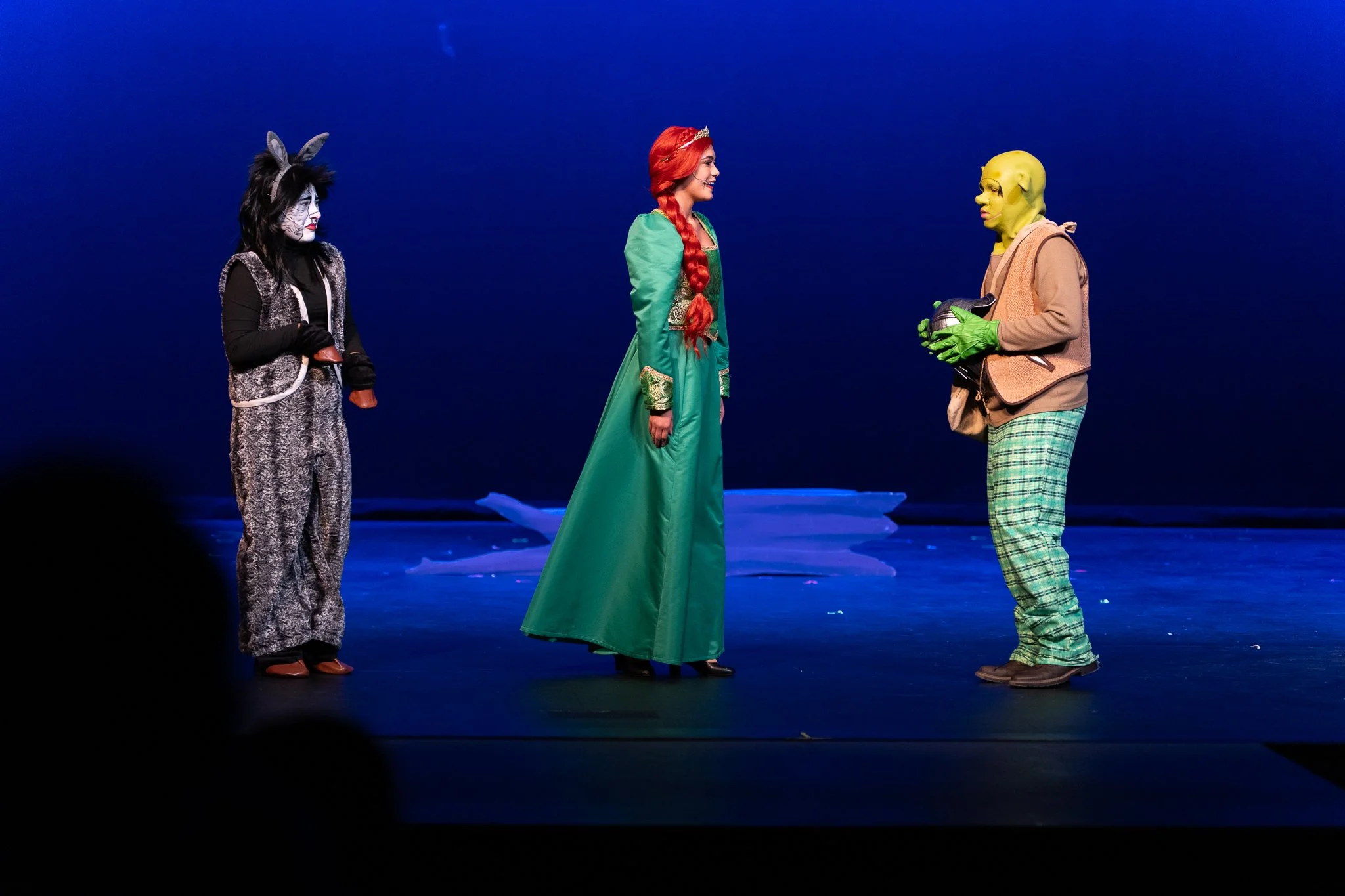 Shrek the Musical-080.jpg