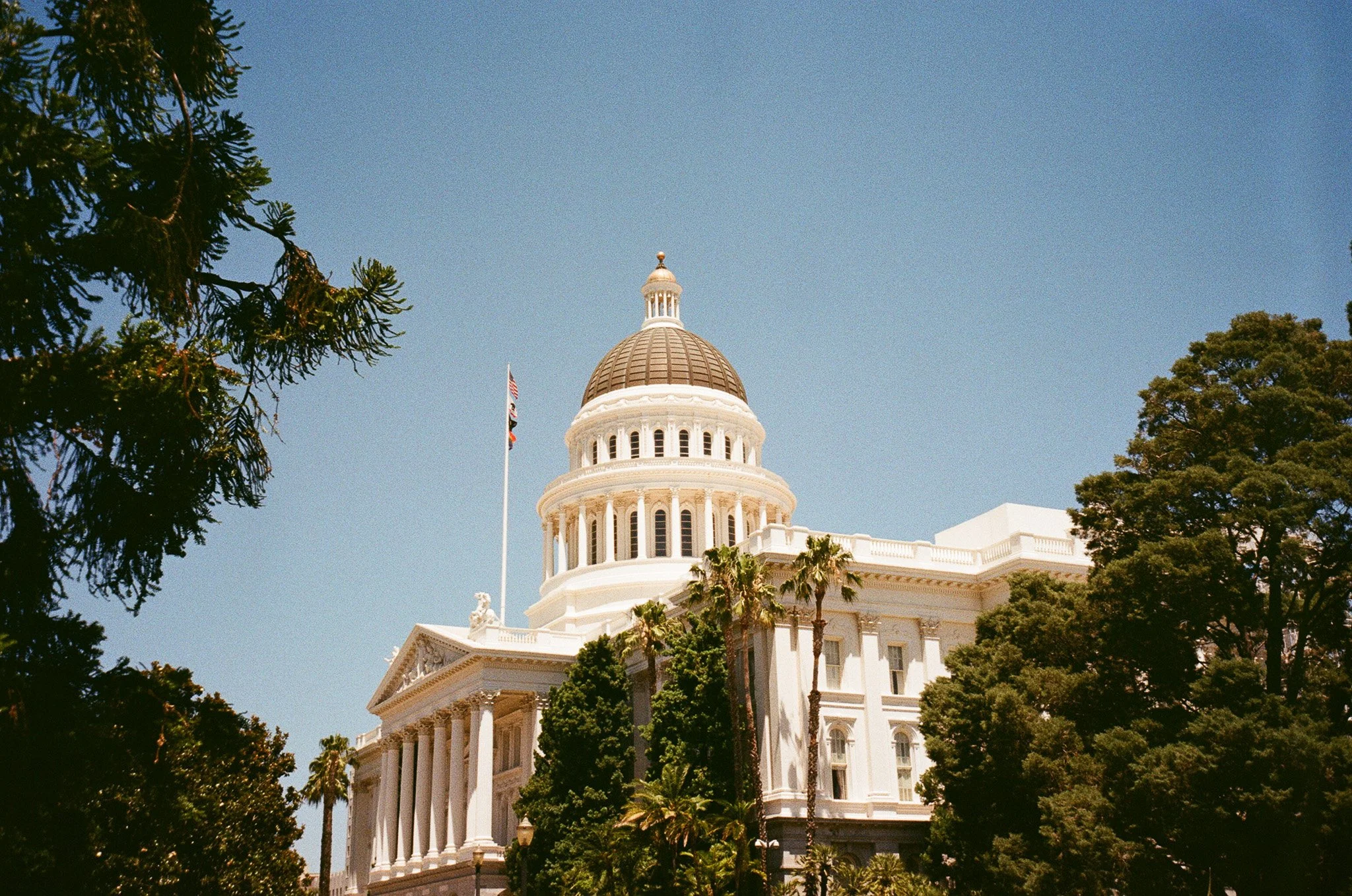 86120036.jpg