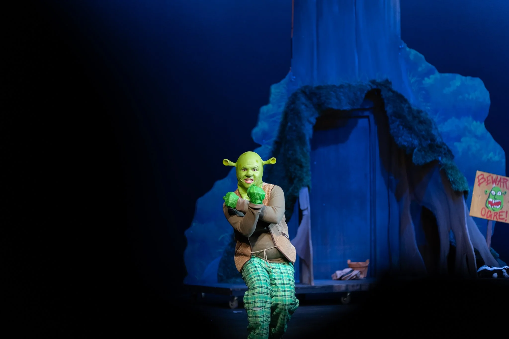 Shrek the Musical-07.jpg
