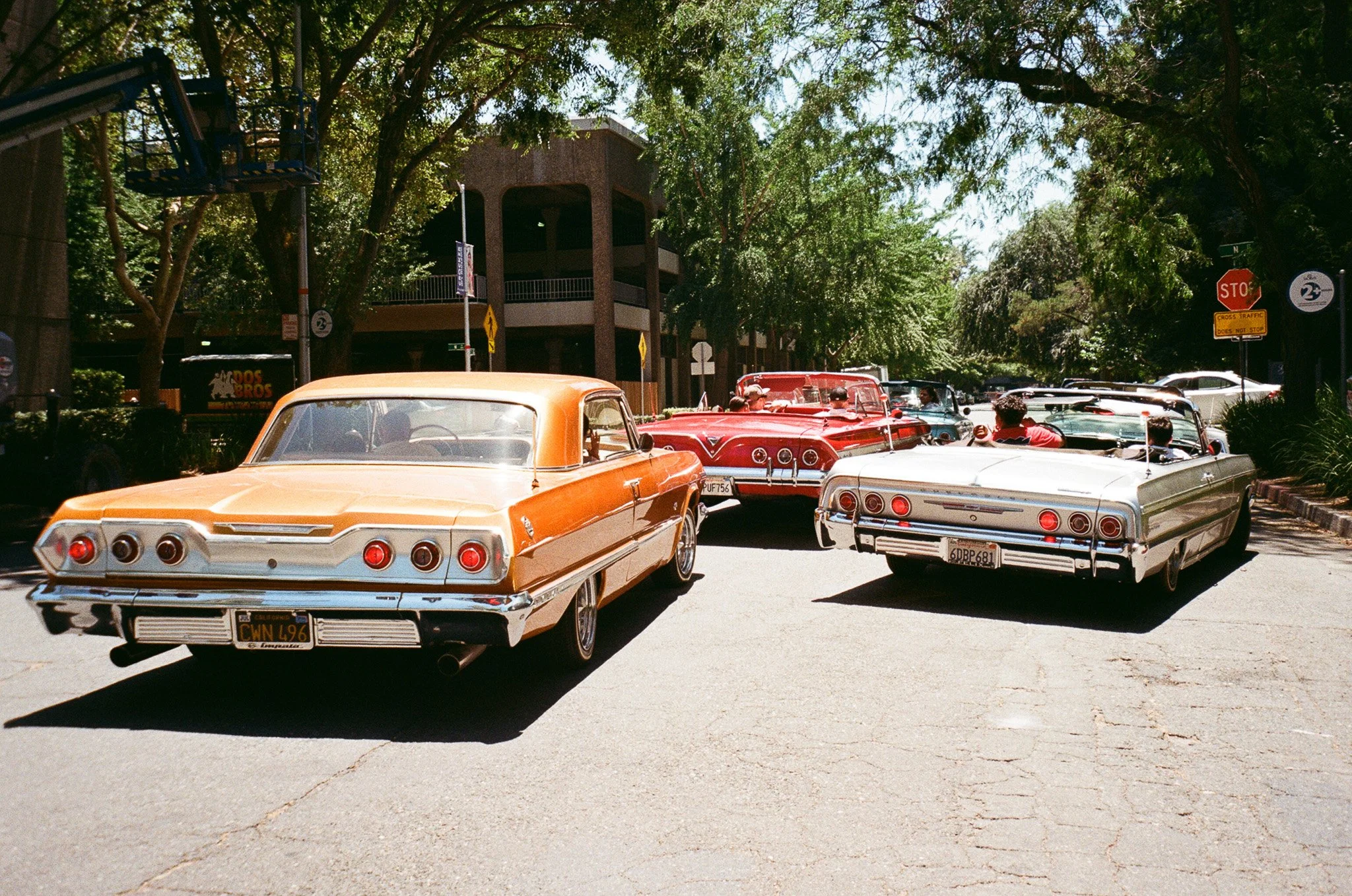 86120030.jpg