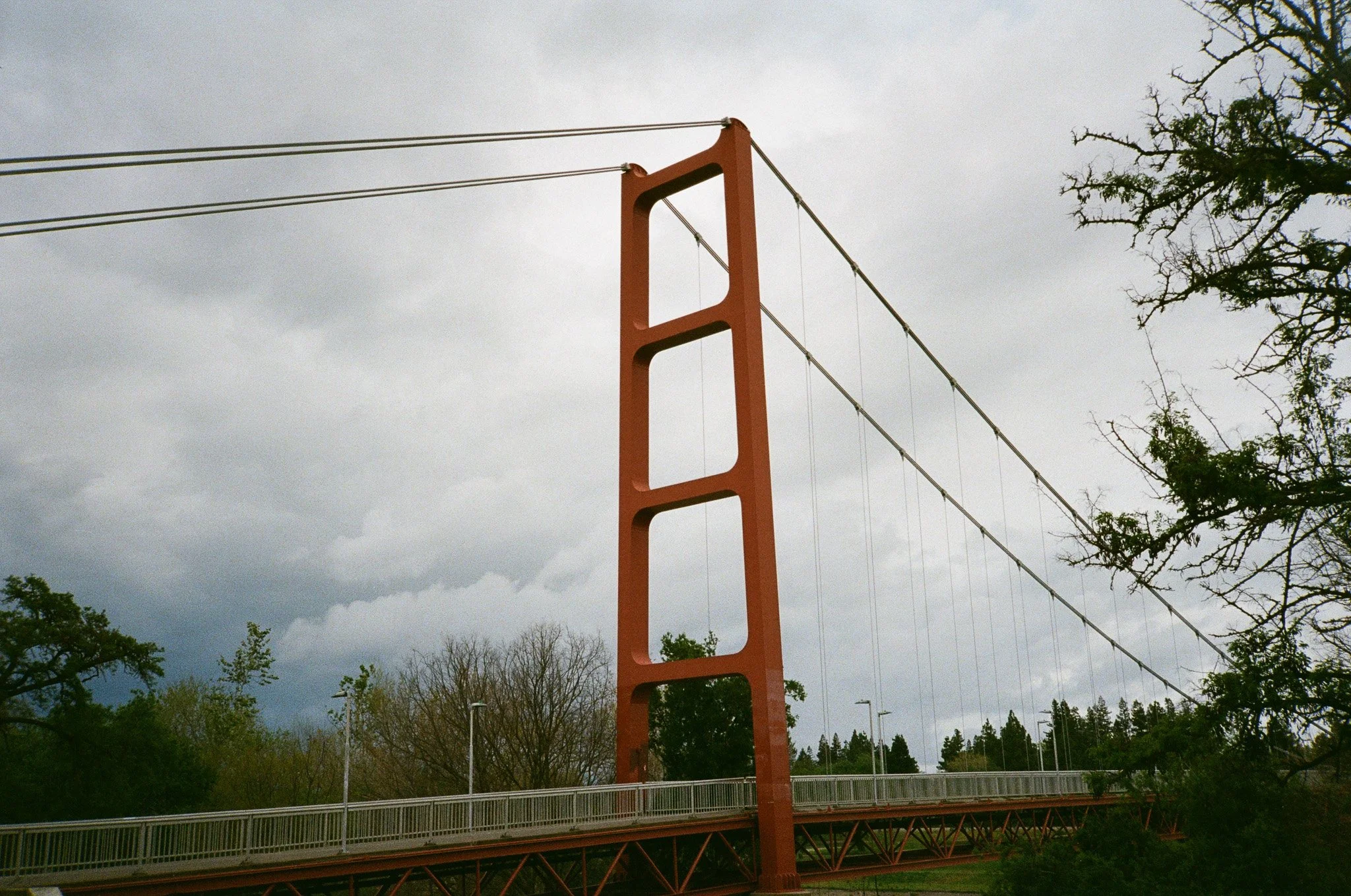 000025820030.jpg