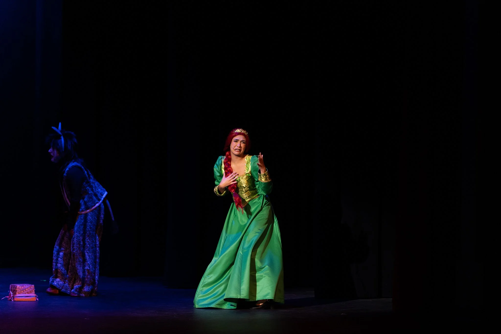Shrek the Musical-076.jpg