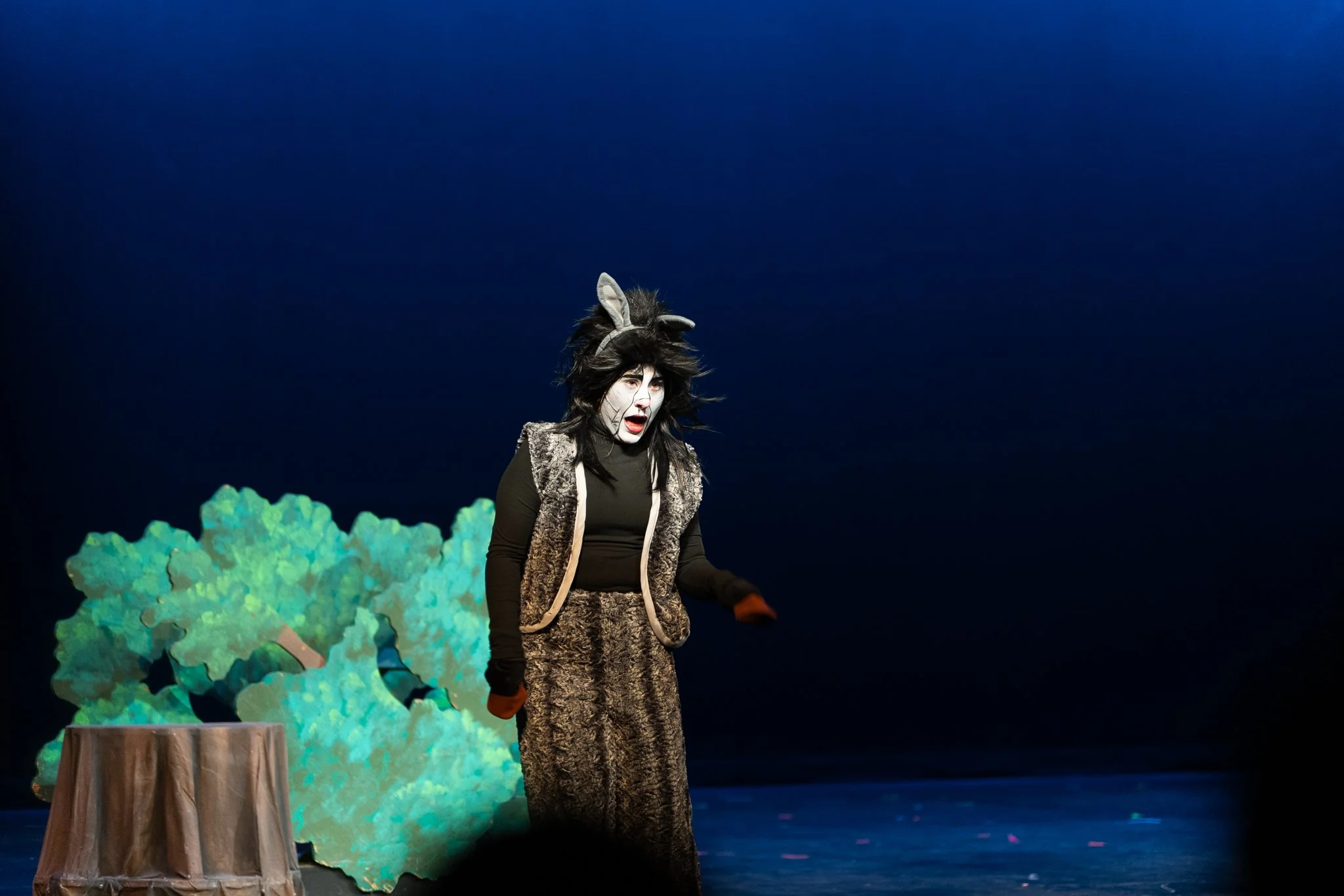 Shrek the Musical-17.jpg