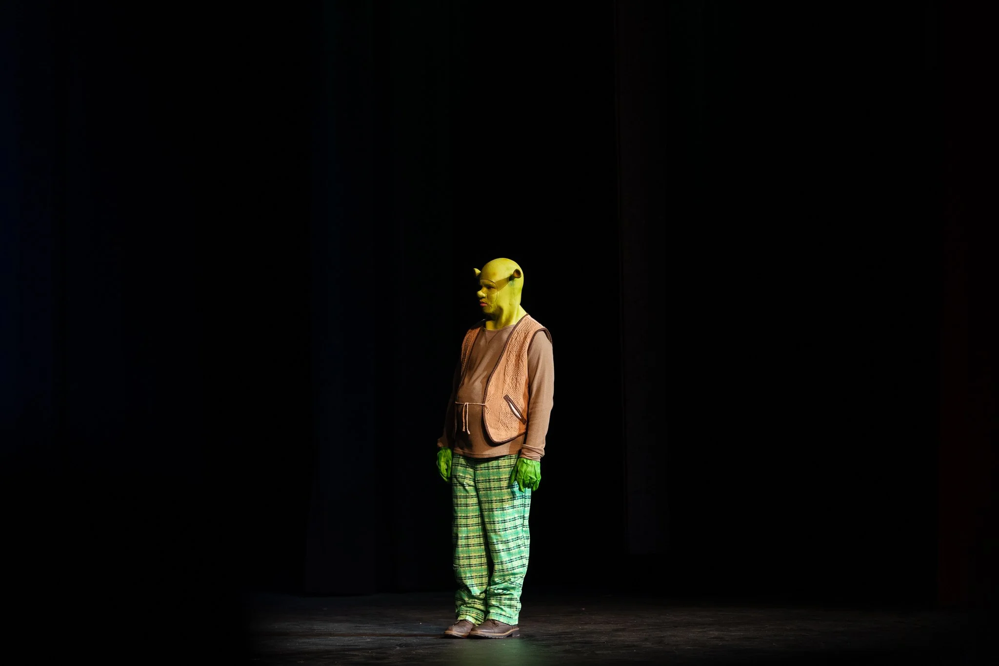 Shrek the Musical-02.jpg