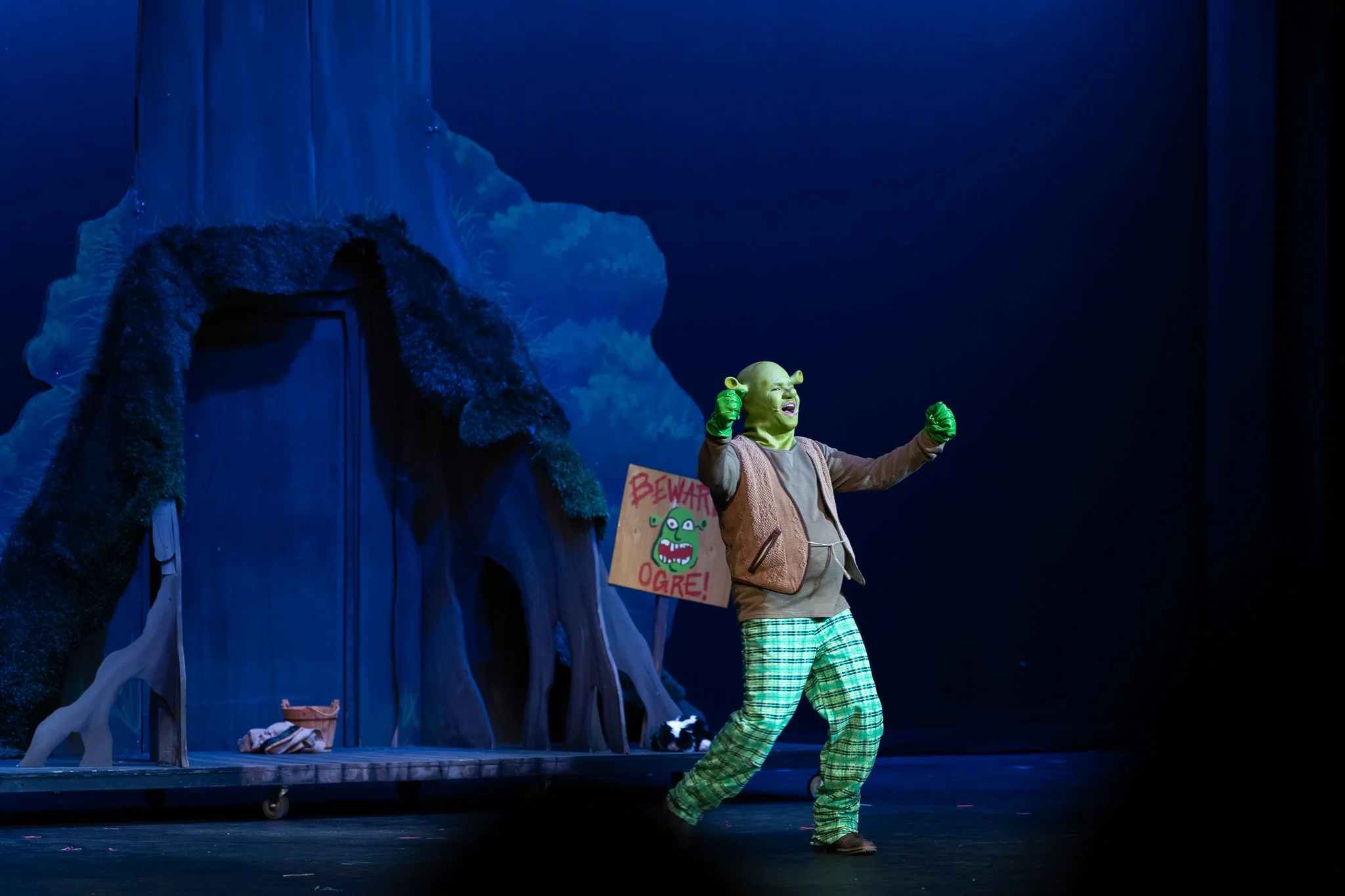 Shrek the Musical-08.jpg
