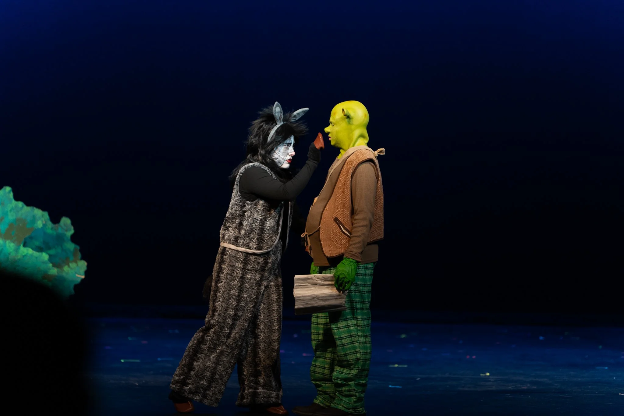 Shrek the Musical-015.jpg