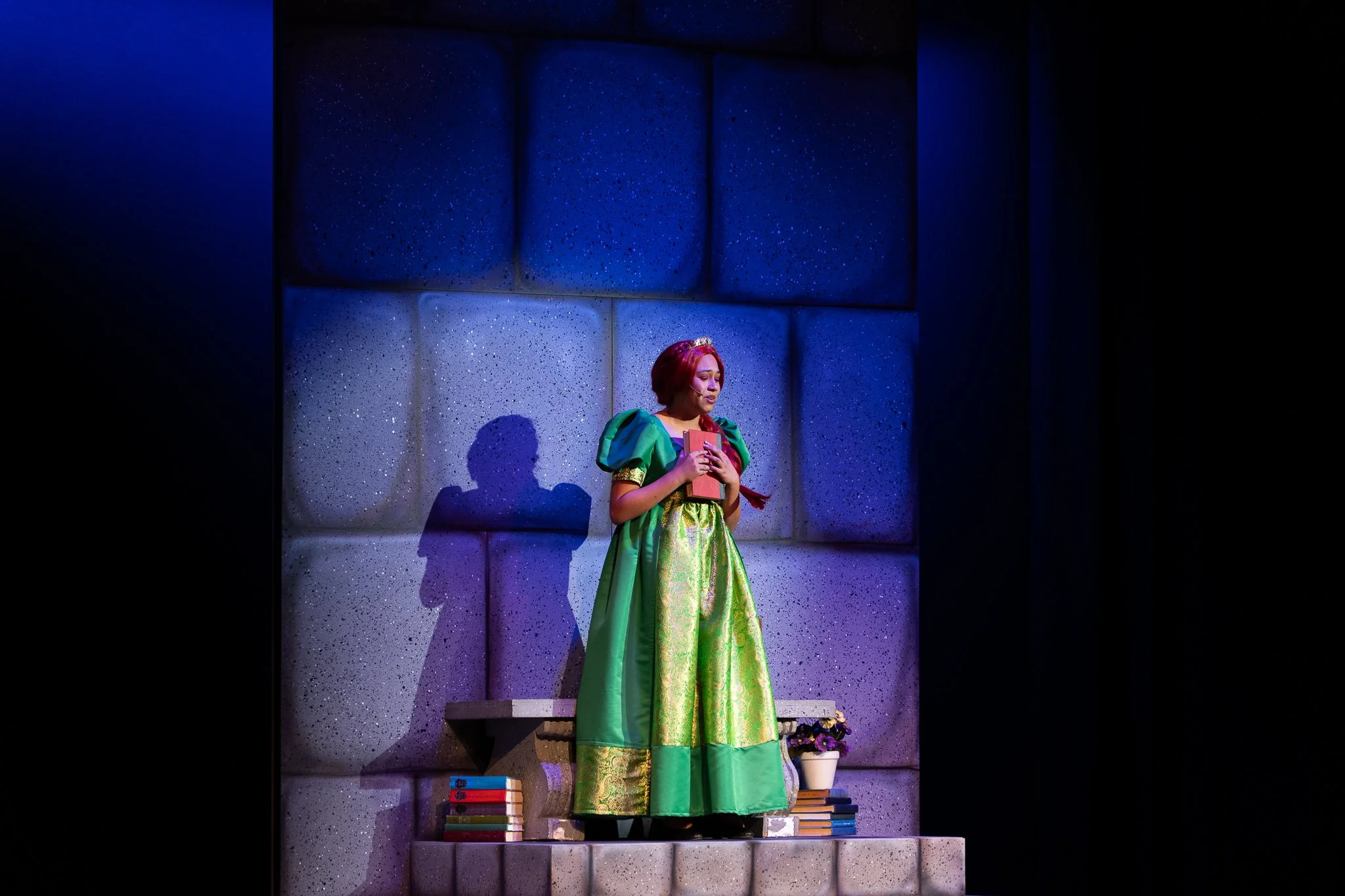Shrek the Musical-36.jpg