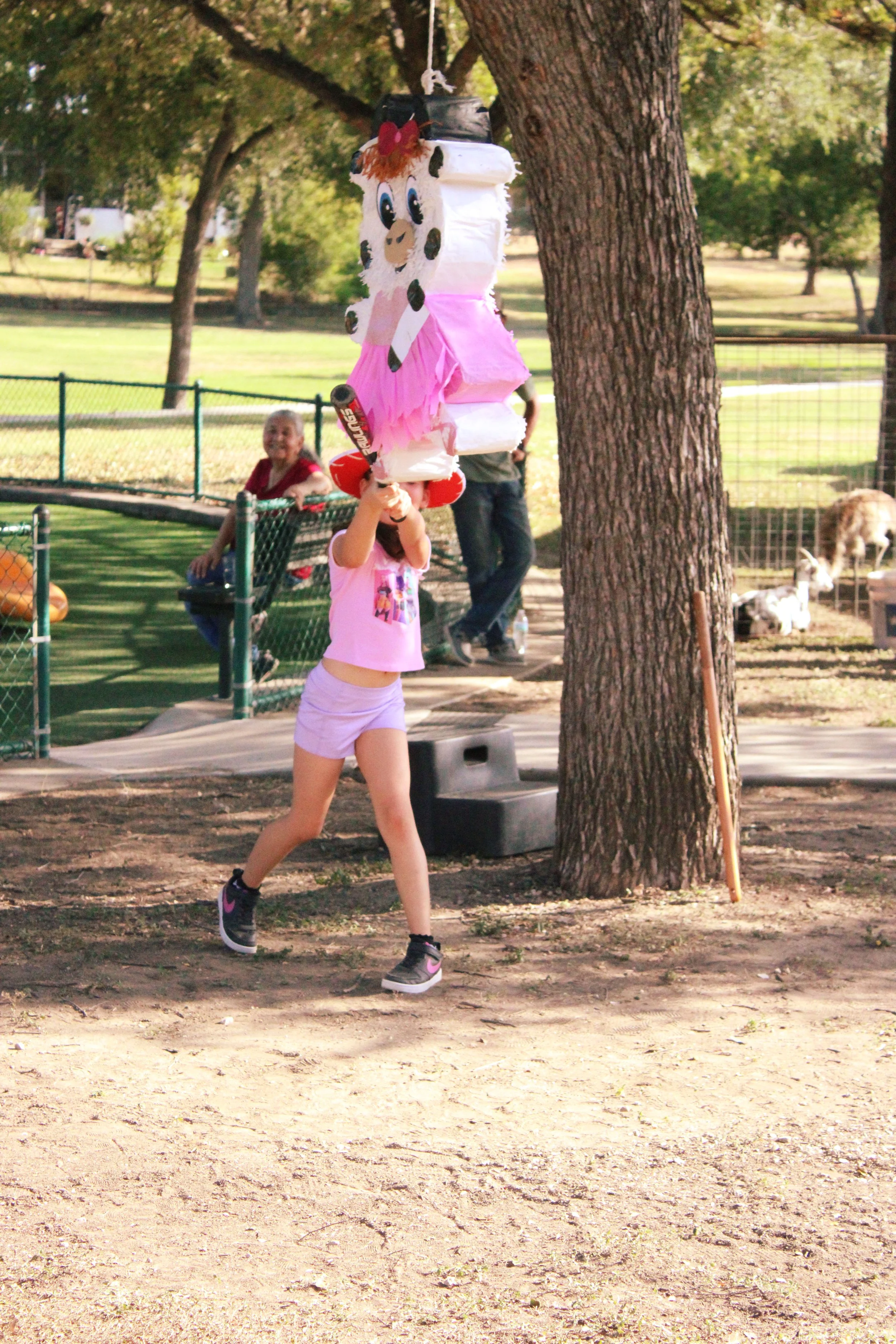 IMG_6793 copy.jpg