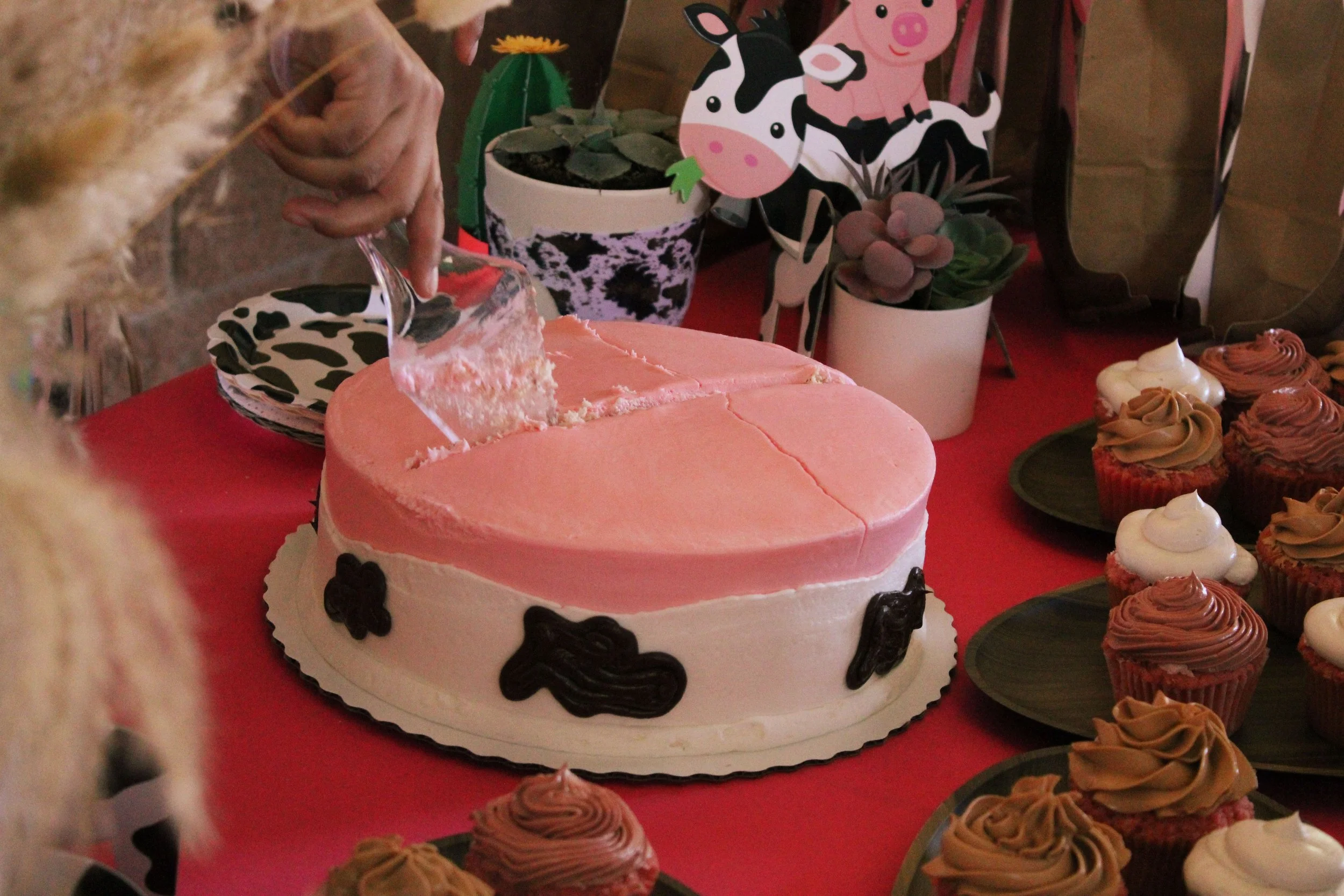 IMG_6849 copy.jpg