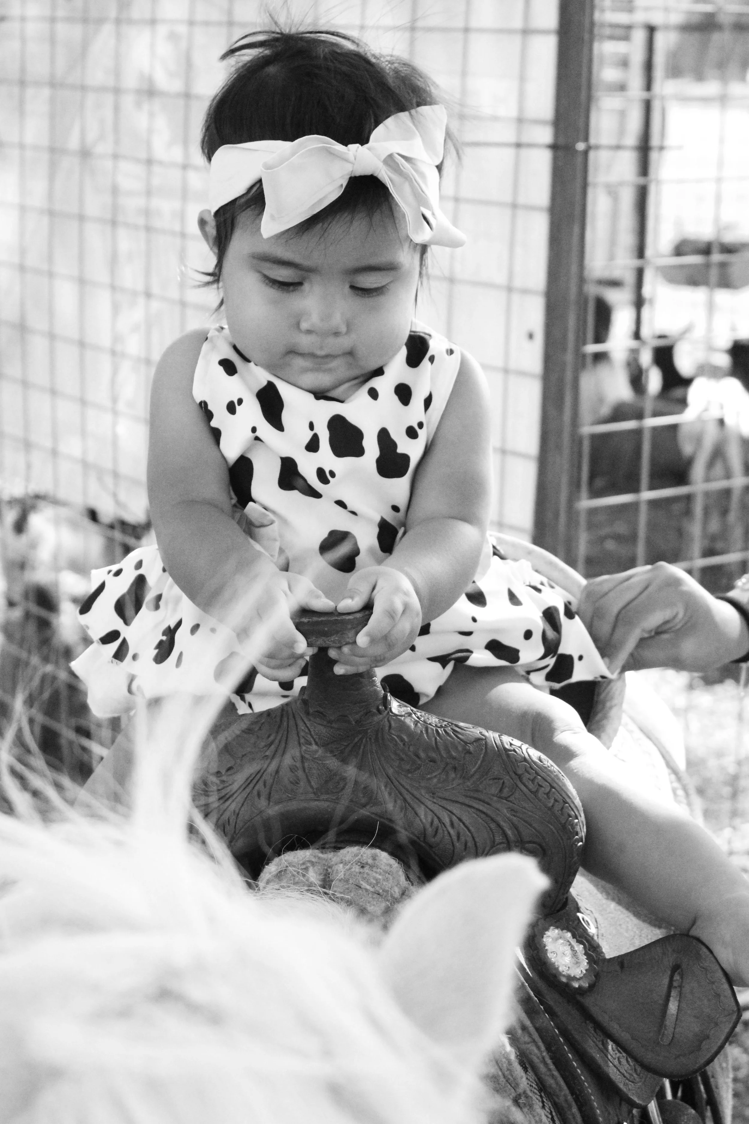IMG_6727 copy.jpg