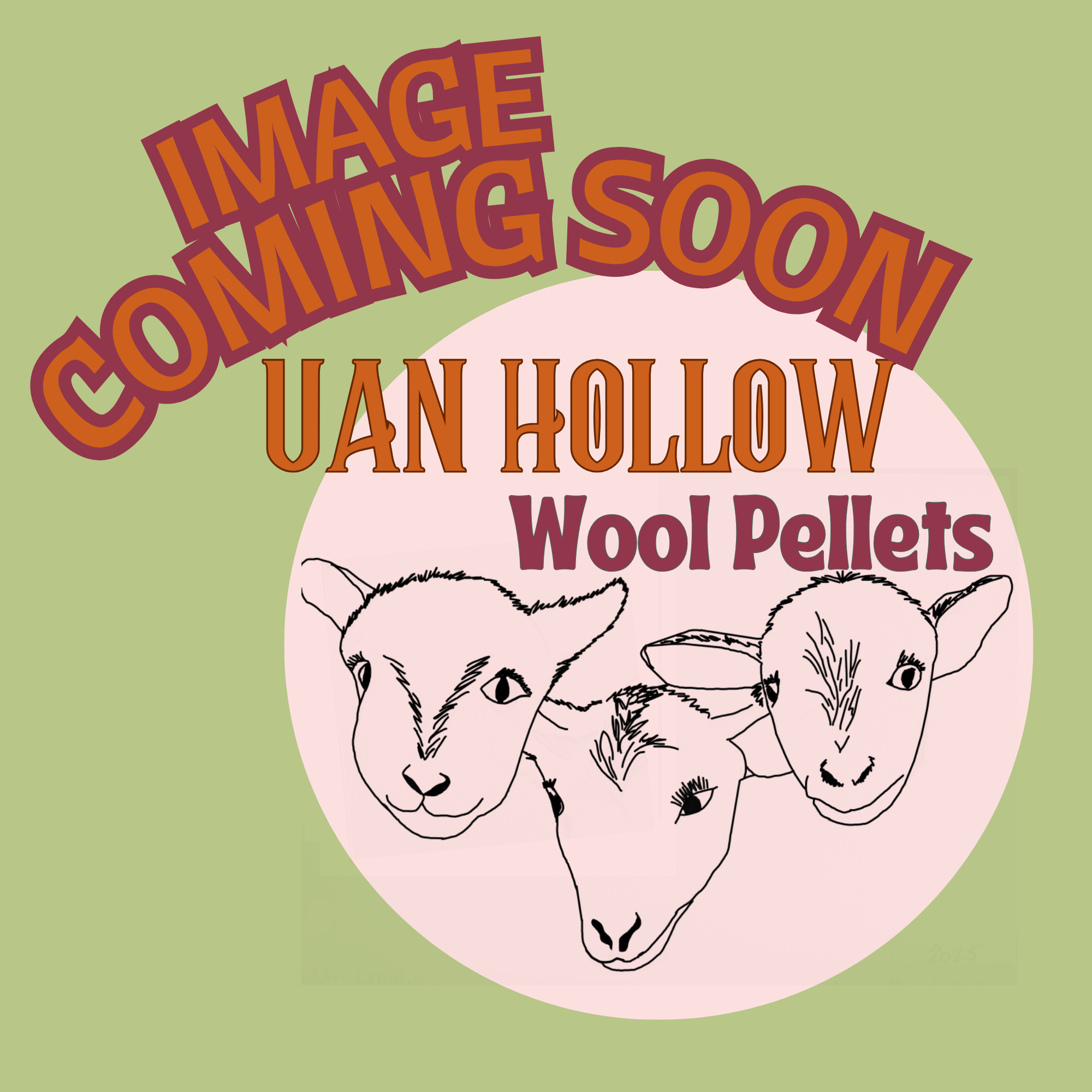 Wool Pellets - 1/2 lb