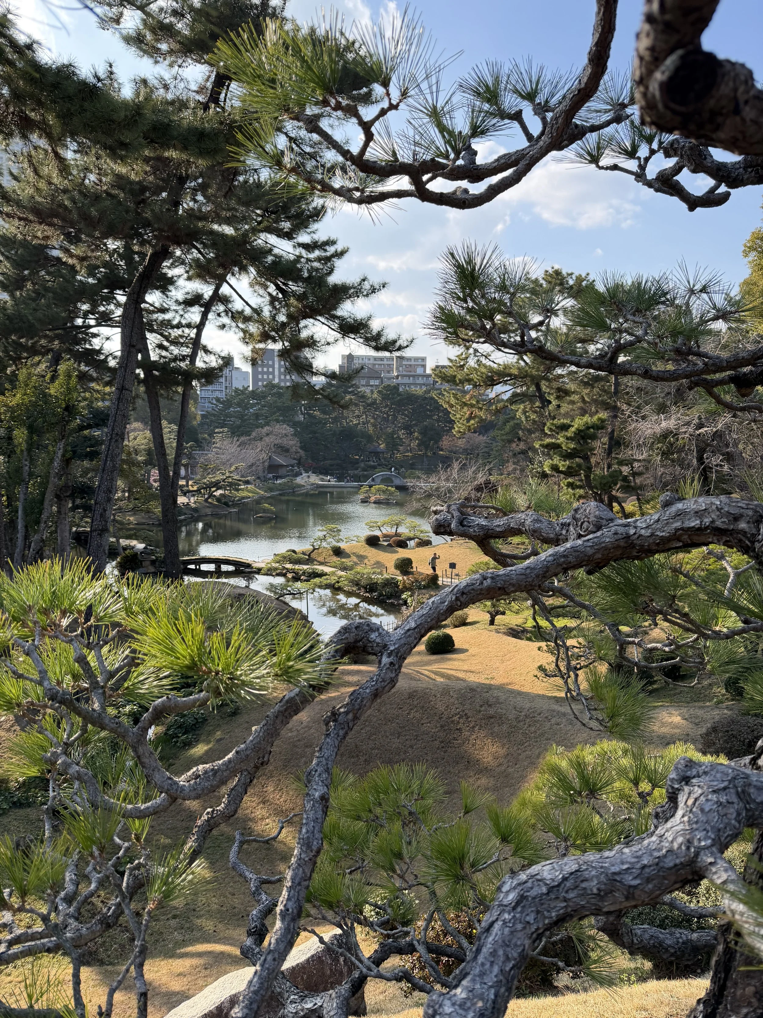 japanese garden