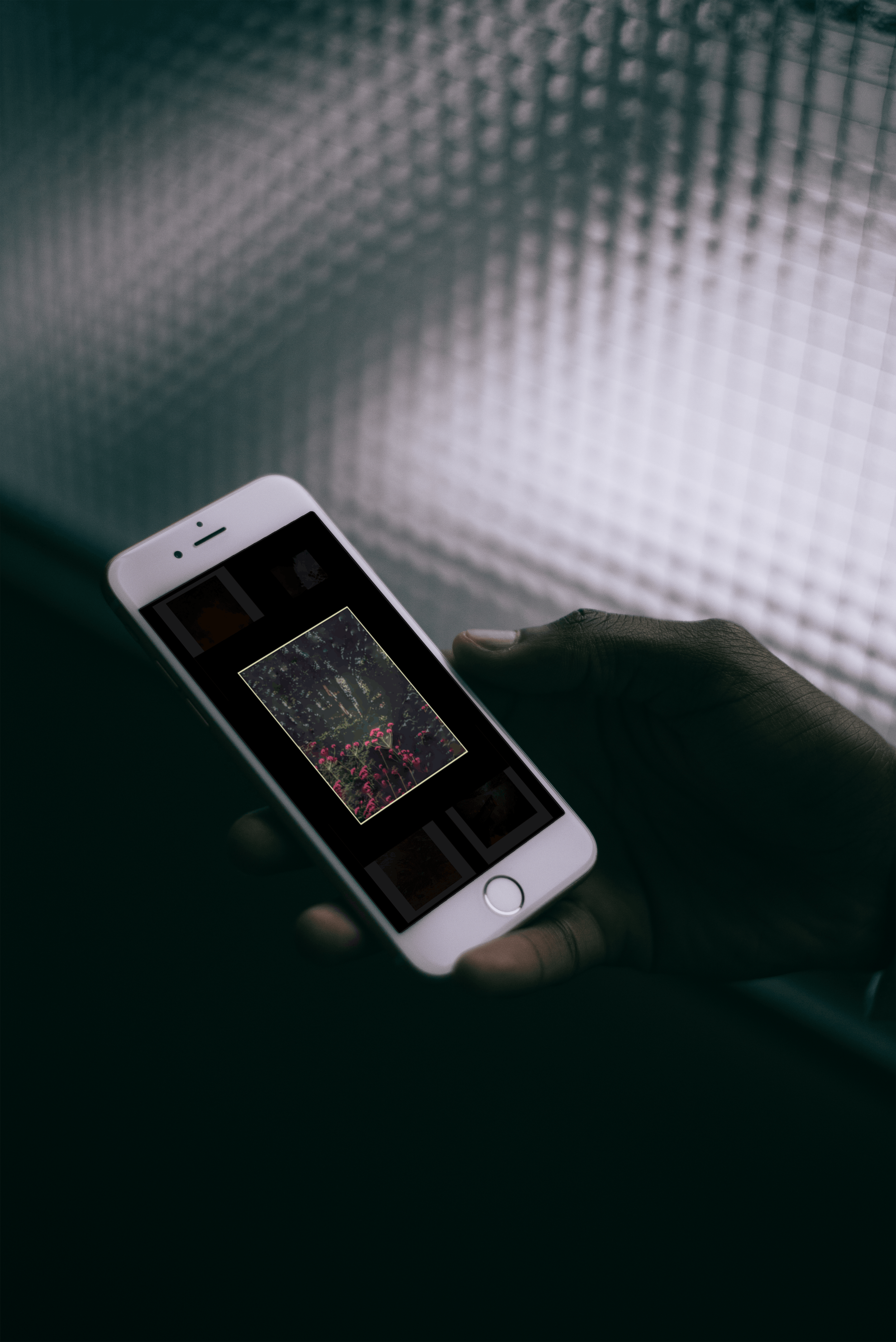 A person holding a white smartphone, viewing a photo of pink flowers and trees on the screen, with their thumb near the home button. The background showcases a textured metallic surface.