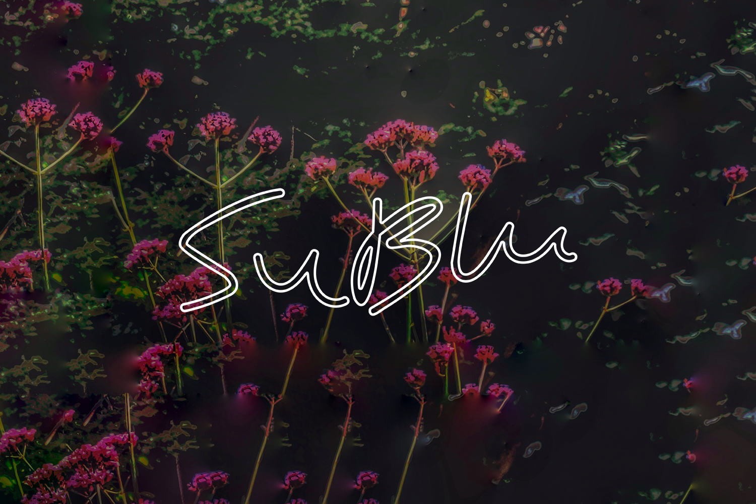 Close-up of pink and purple flowers with the word 'SuBlu' written in white cursive text overlay.