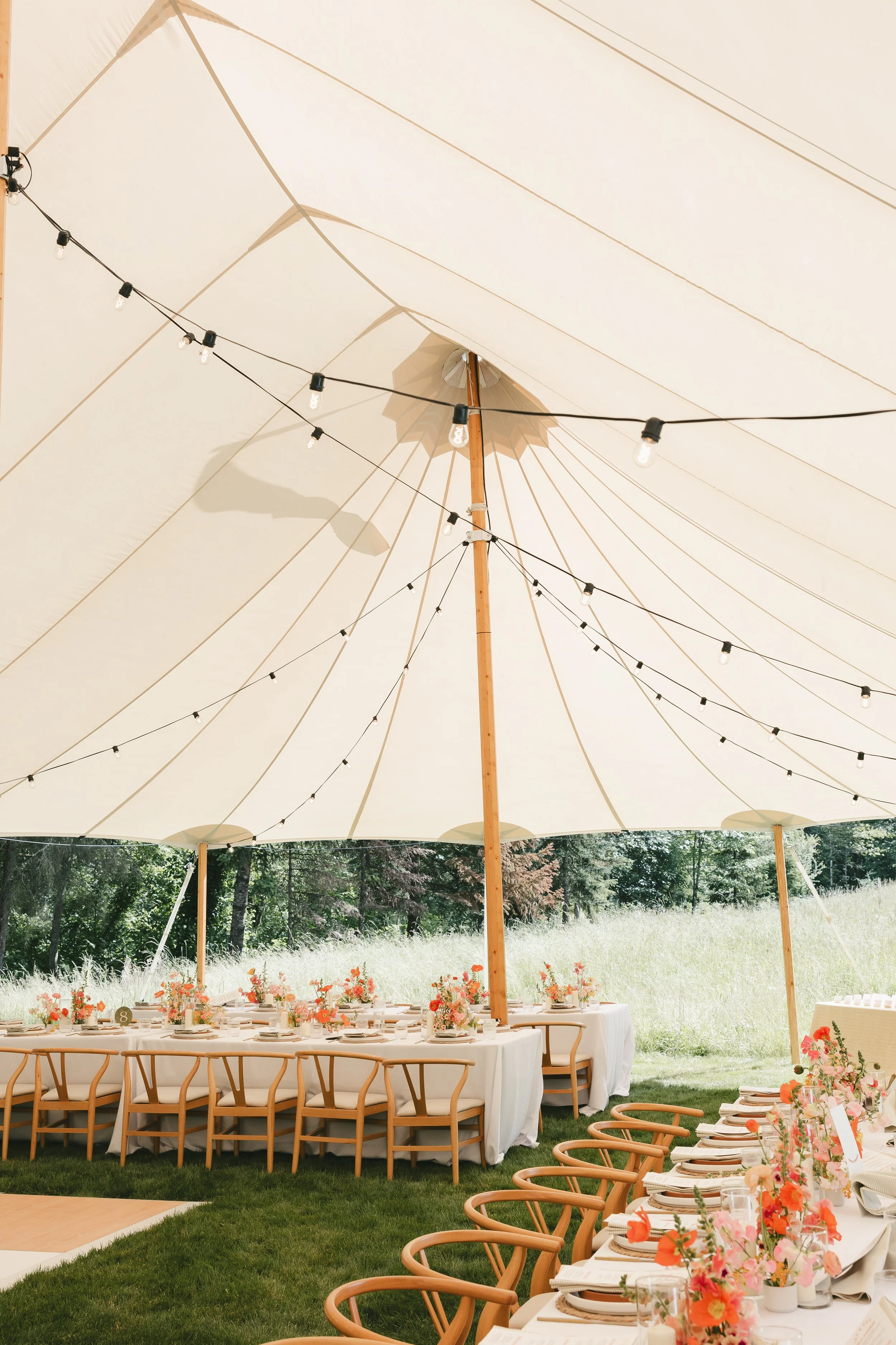 Outdoor event setup under a large white canopy tent with string lights and decorated tables with orange and pink flowers for a celebration.