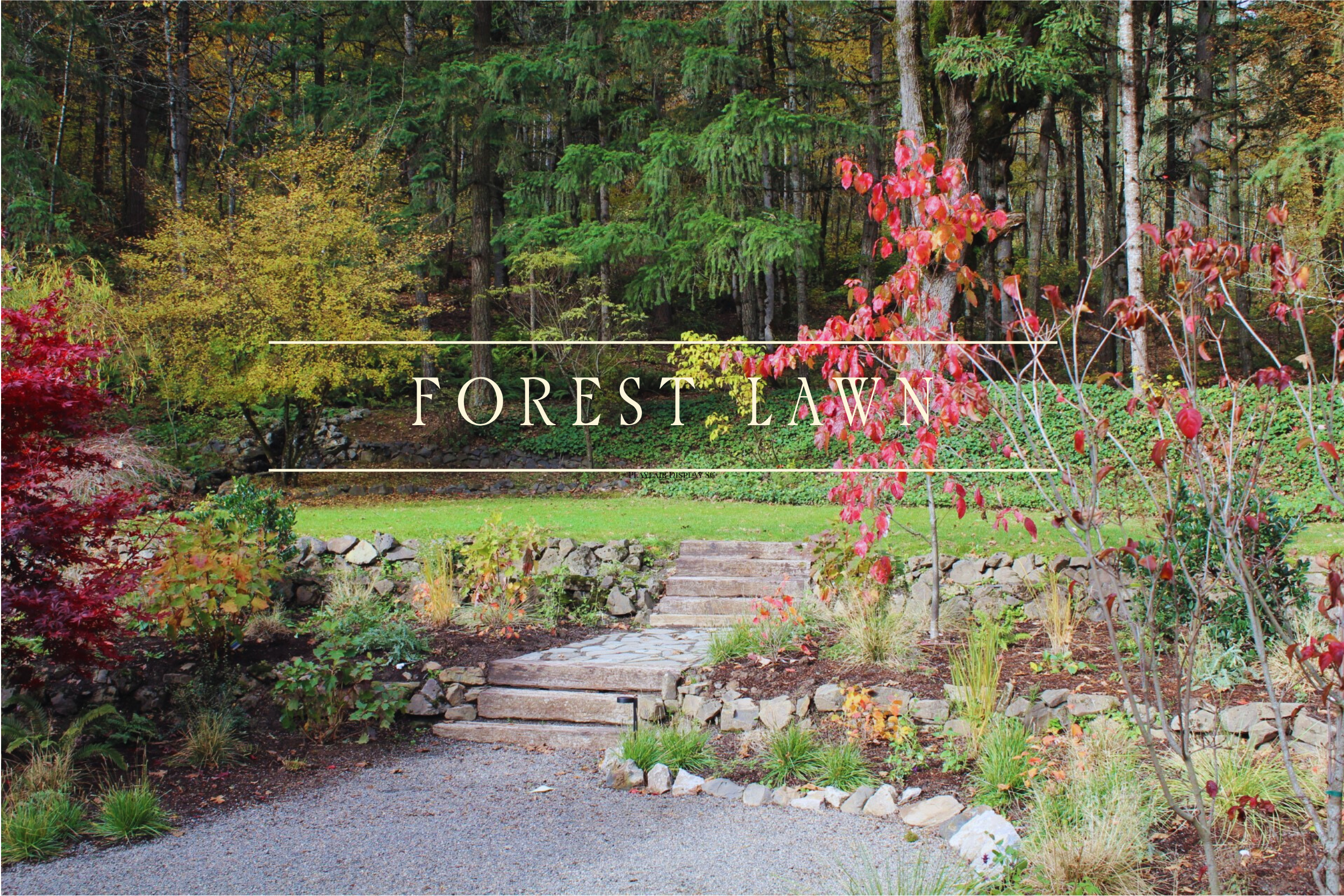A garden path with steps surrounded by colorful bushes and tall trees in a forested area during autumn.