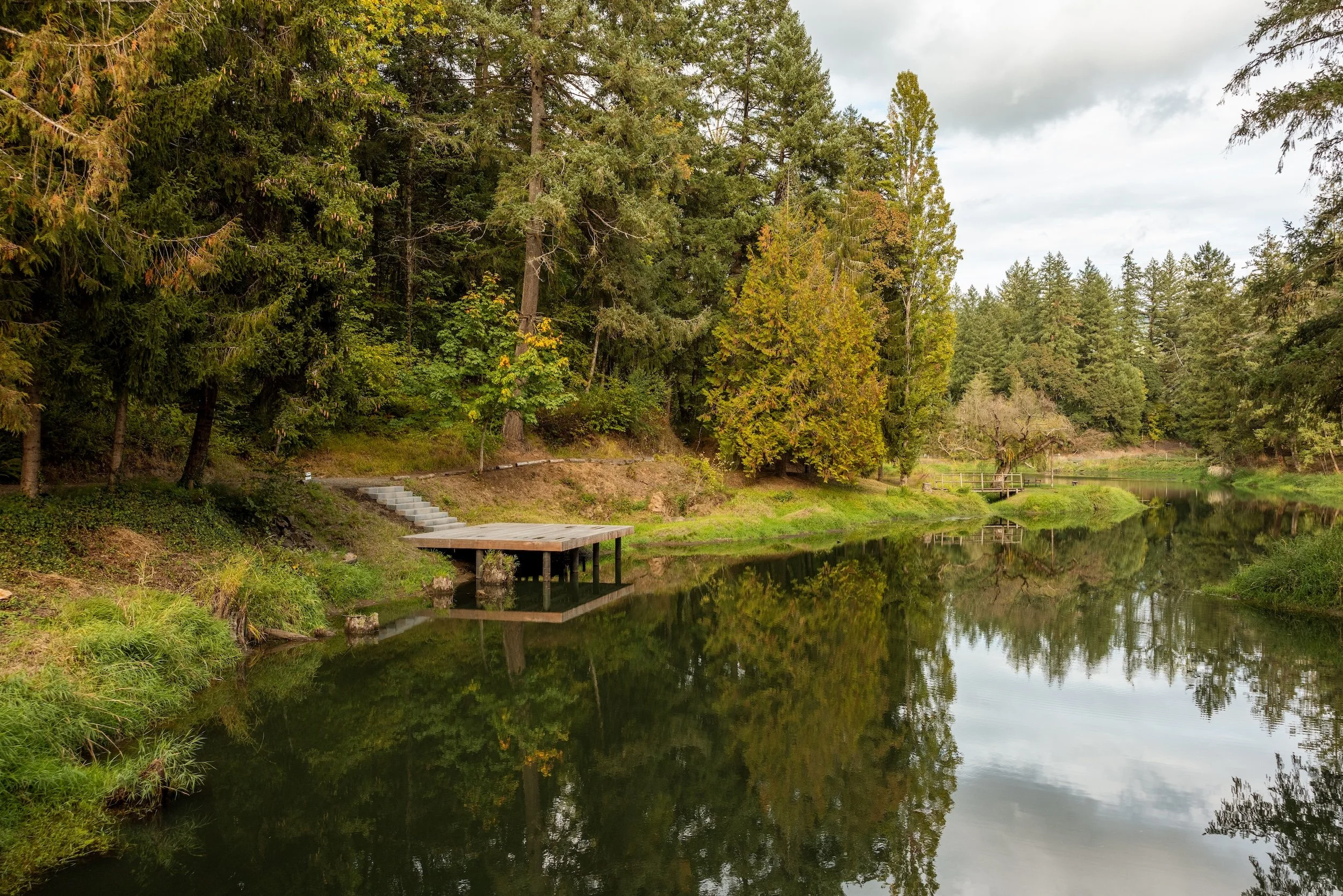 A peaceful lakeside scene with a calm reflective body of water, surrounded by tall green trees with some yellow leaves, and a small wooden dock extending over the water, with a forest in the background under a cloudy sky.
