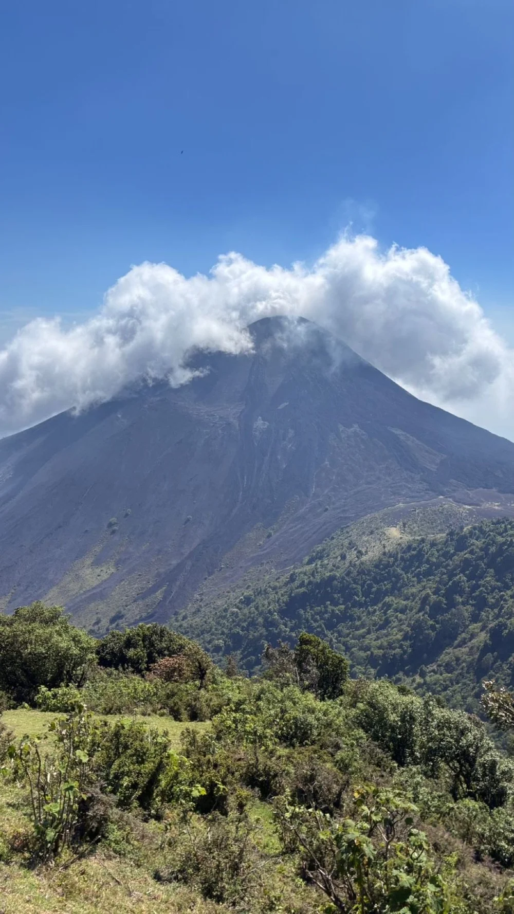 The Pacaya volcano cone