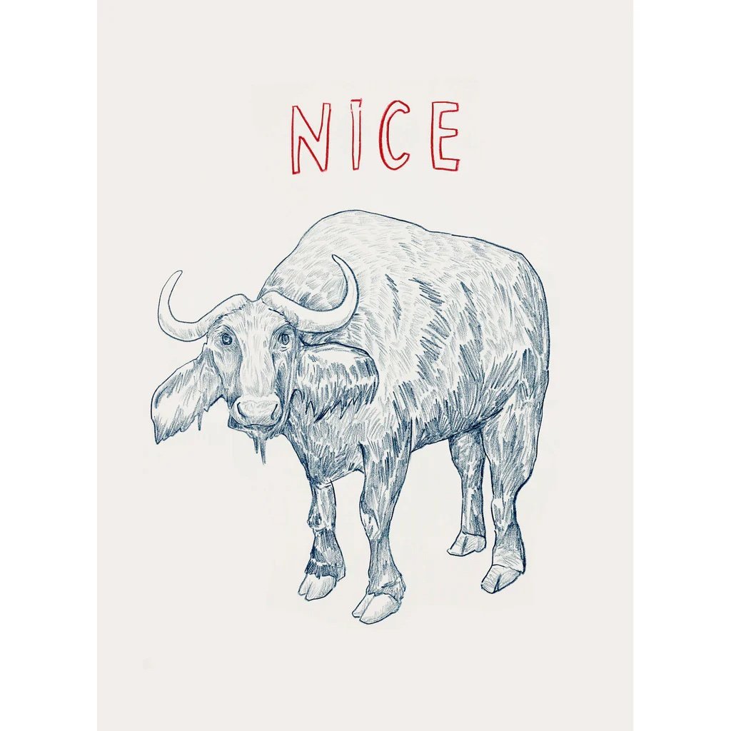 Nice_1024x1024.jpeg