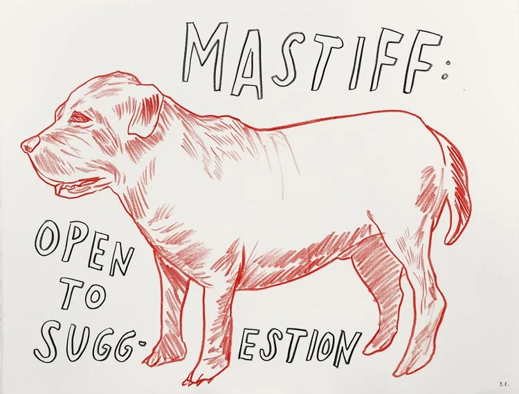 Dave_Eggers_mastiff-open-to-suggestions-sm.jpg