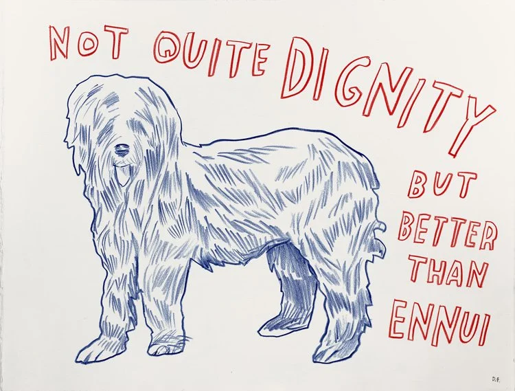 Dave_Eggers_Not_quite-dignity-but-better-than-ennui-sm.jpg