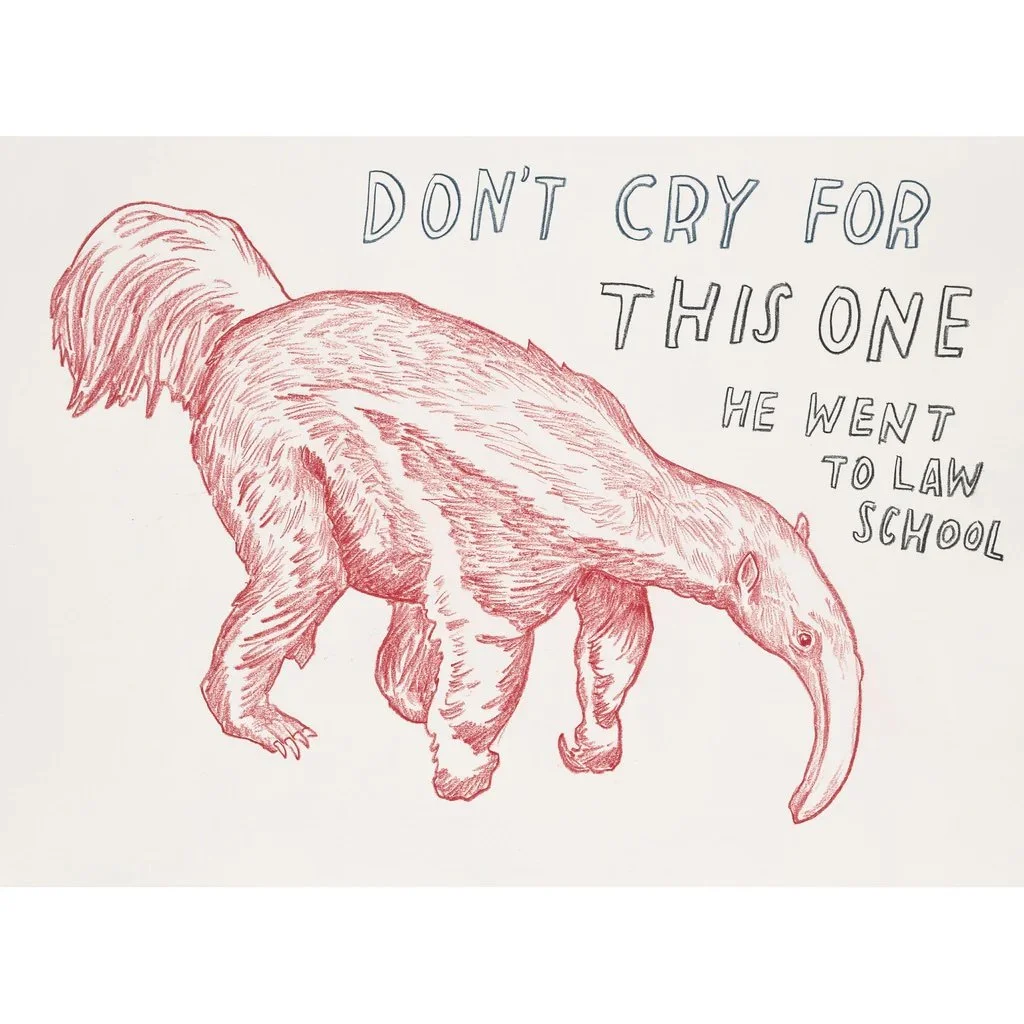Dont-cry-for-this-one-He_Went_To_Law_School_1024x1024.jpeg