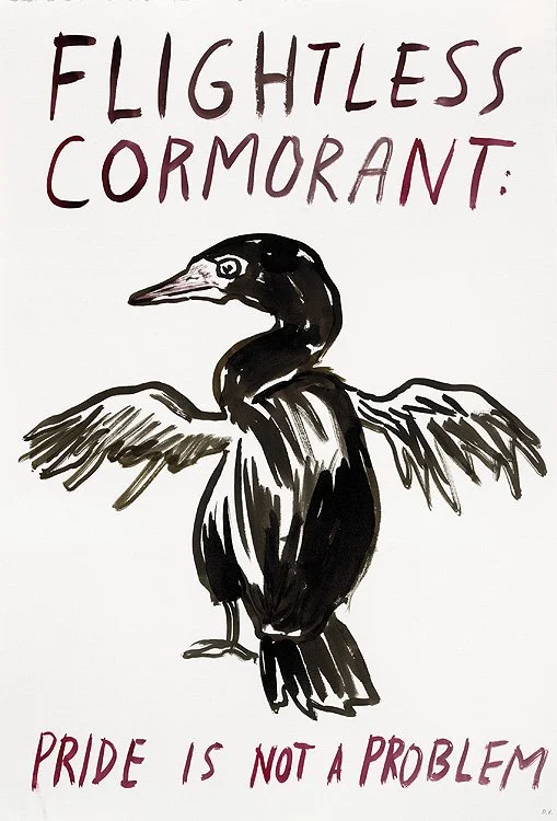eggers-flightless-cormorant-pride-is-not-a-problem.jpg