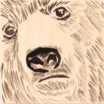 Bear4.jpg