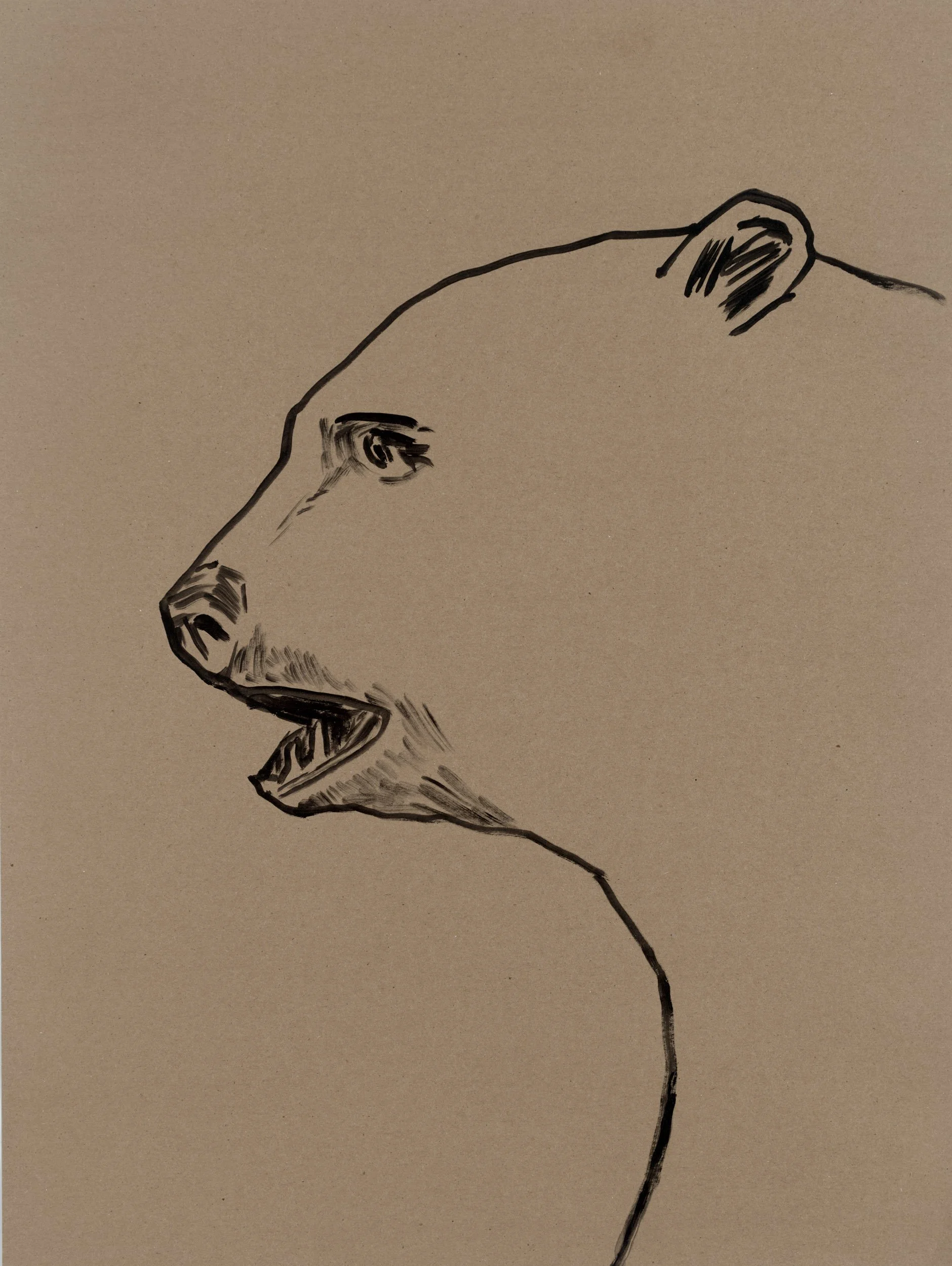 Eggers_bear profile.jpg