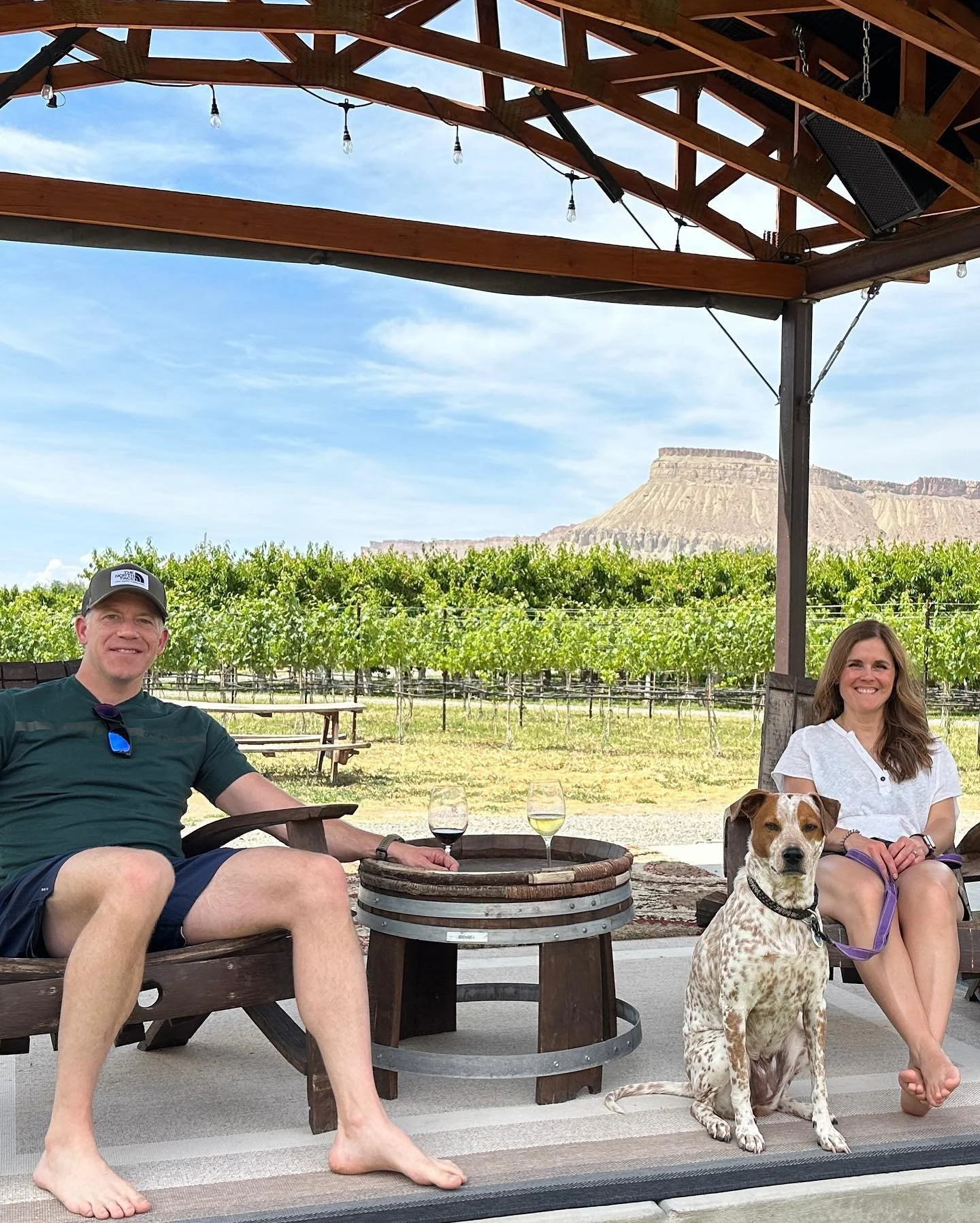 VIneyard.jpeg