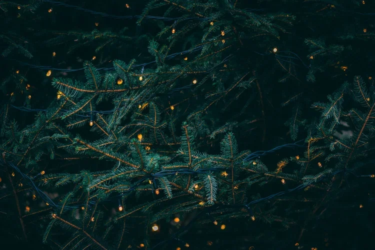 The Little Lights Aren’t Twinkling