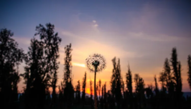 It's Always Darkest Before The Dawn