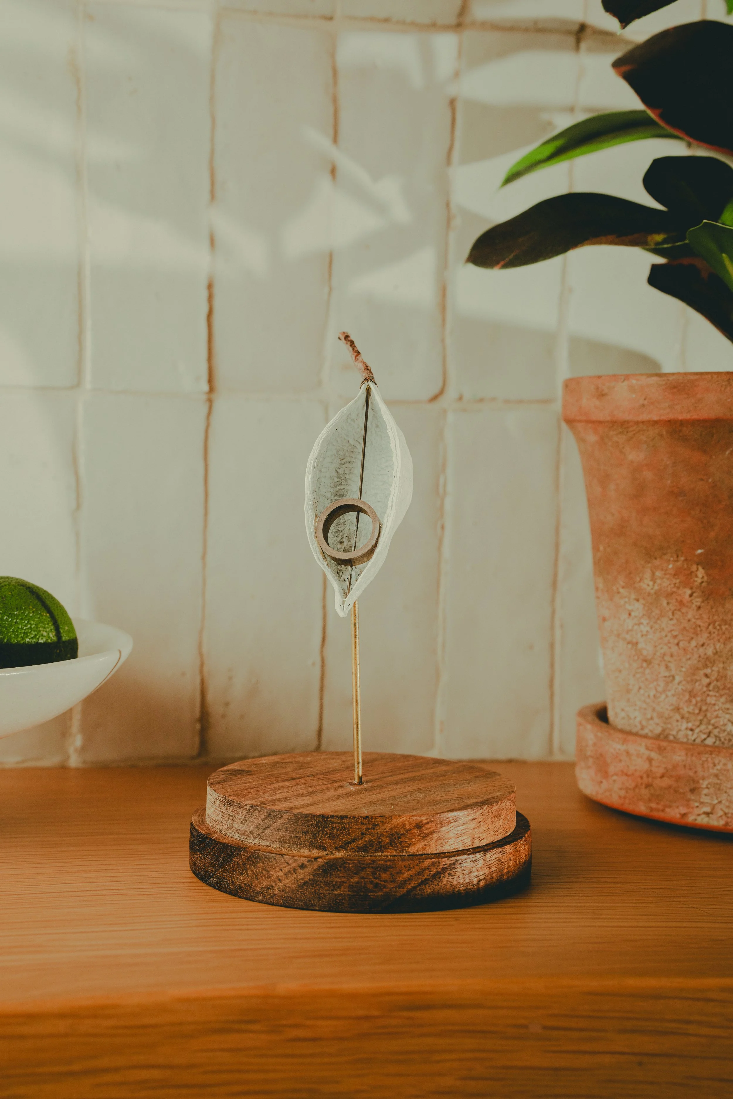 A decorative white seashell mounted on a thin metal rod, standing upright on a round wooden base, with a green plant in a terracotta pot nearby.