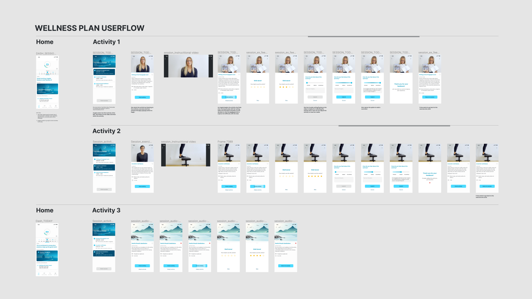 synfit_userflow.png