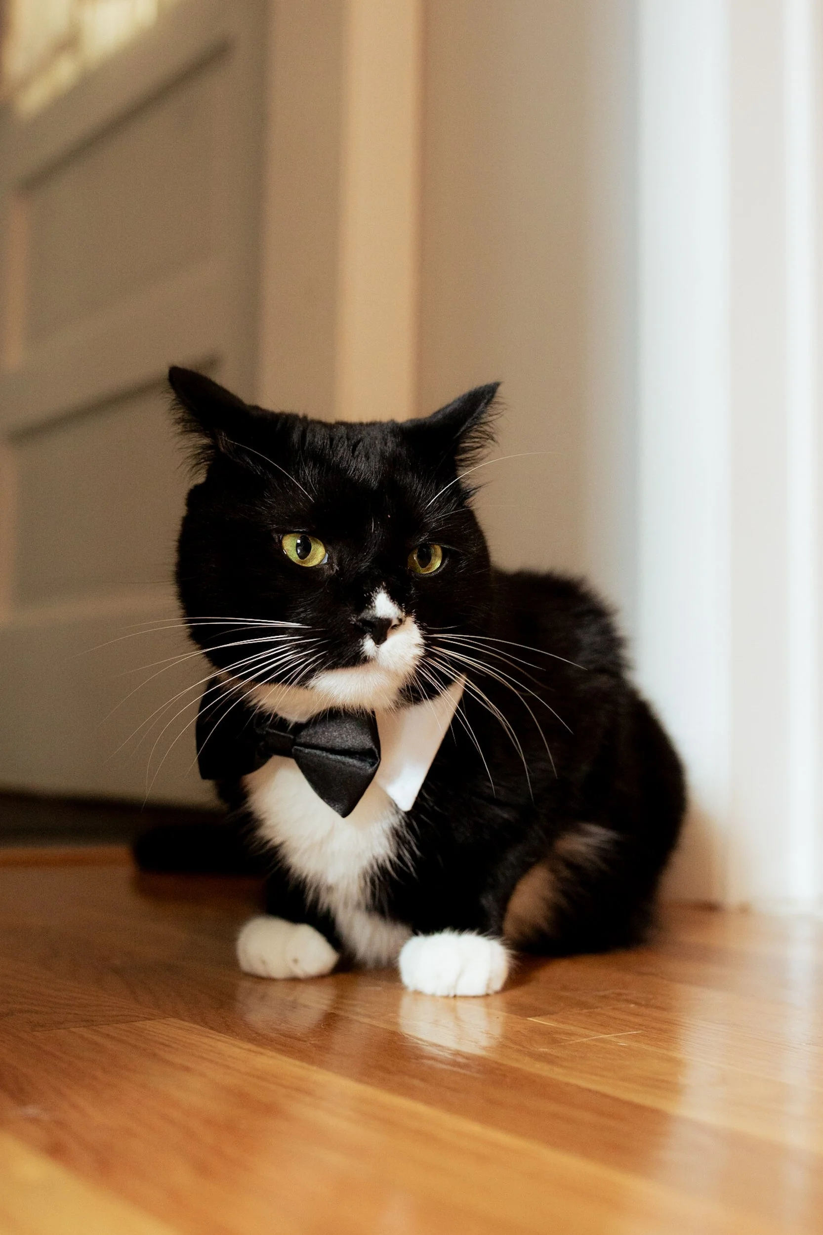 Wedding-14.jpg