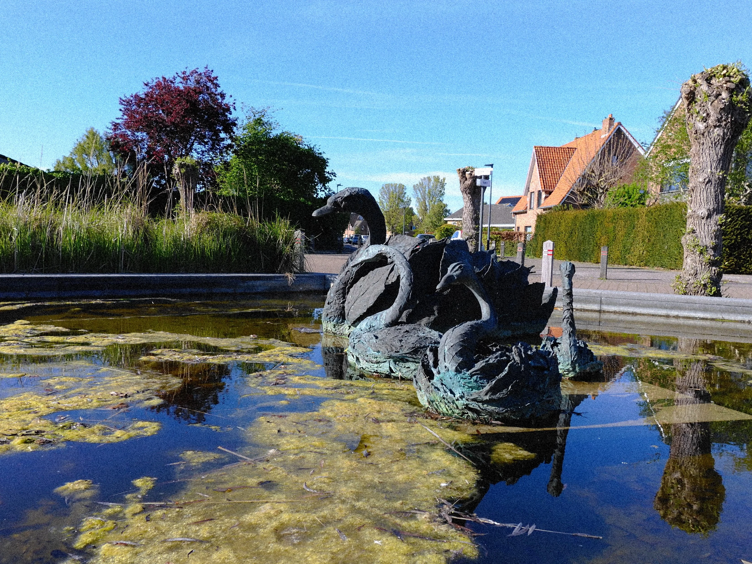 De Zwaan en Kuikens, Zandvoorde - Josyanne Vanhoutte