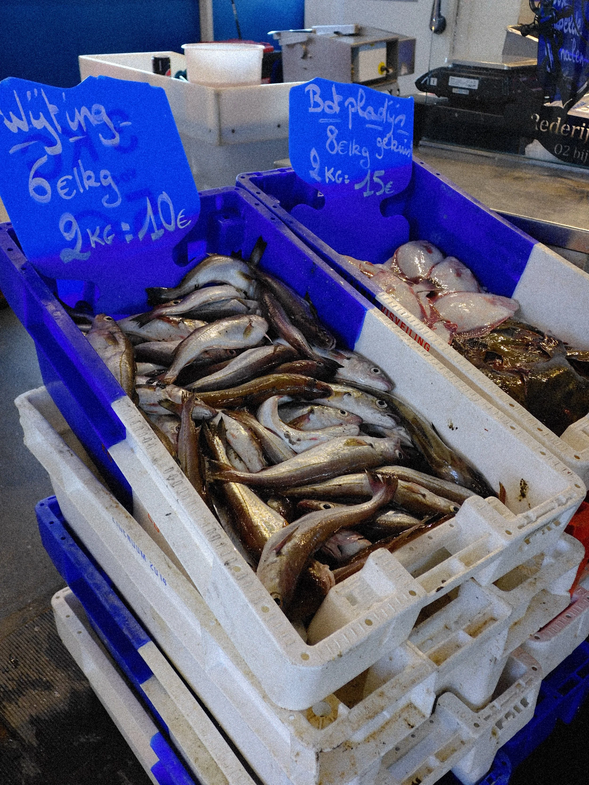 Vistrap Oostende