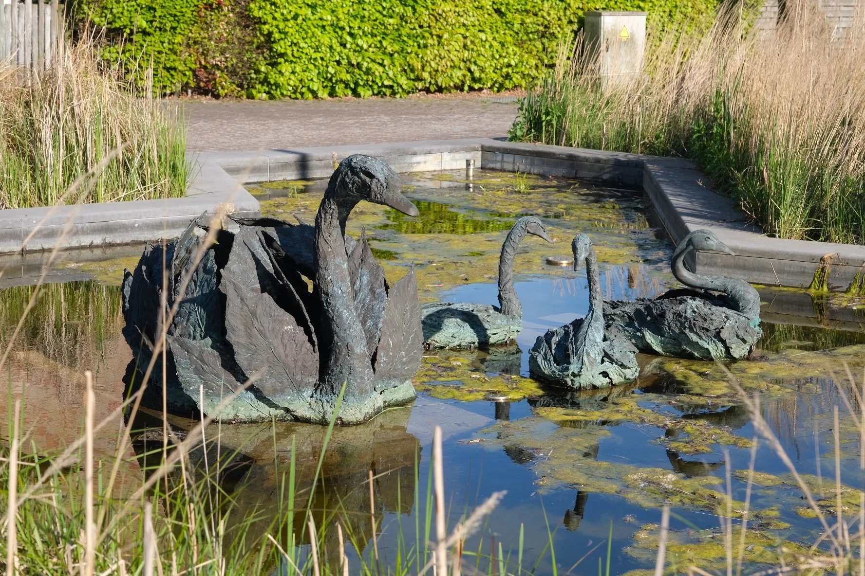De Zwaan en Kuikens, Zandvoorde - Josyanne Vanhoutte