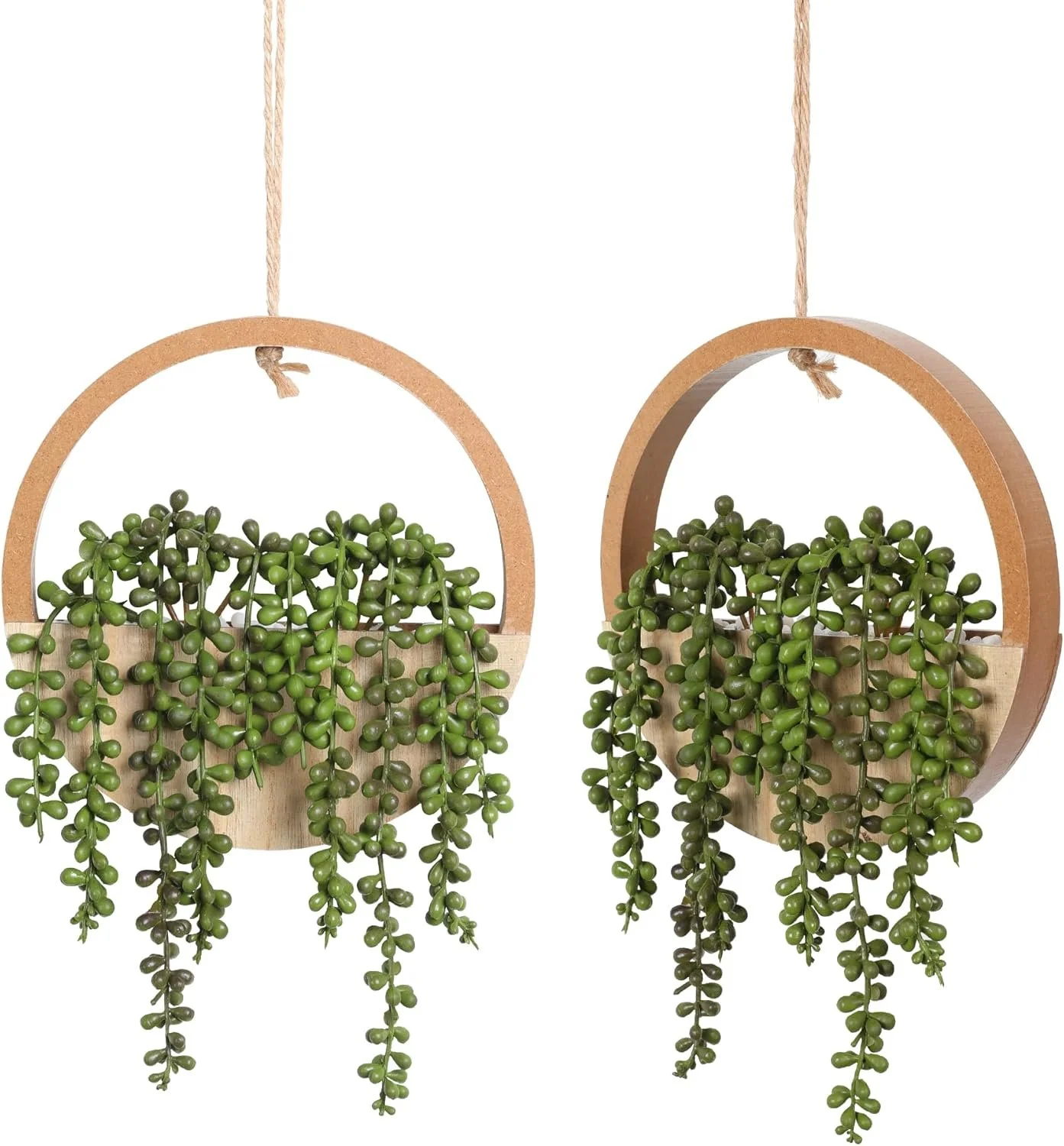 plants2.jpg