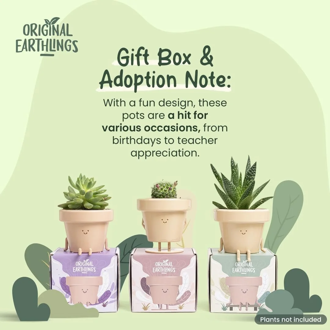 Mini Cute Plant Pot1.jpg
