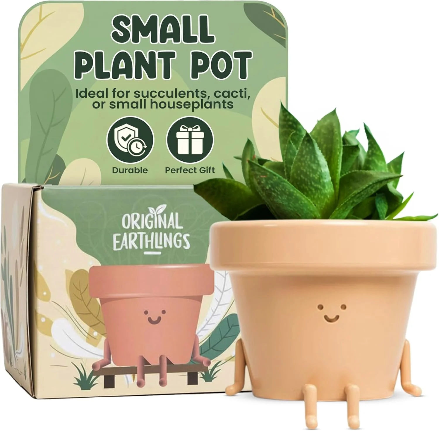 Mini Cute Plant Pot.jpg