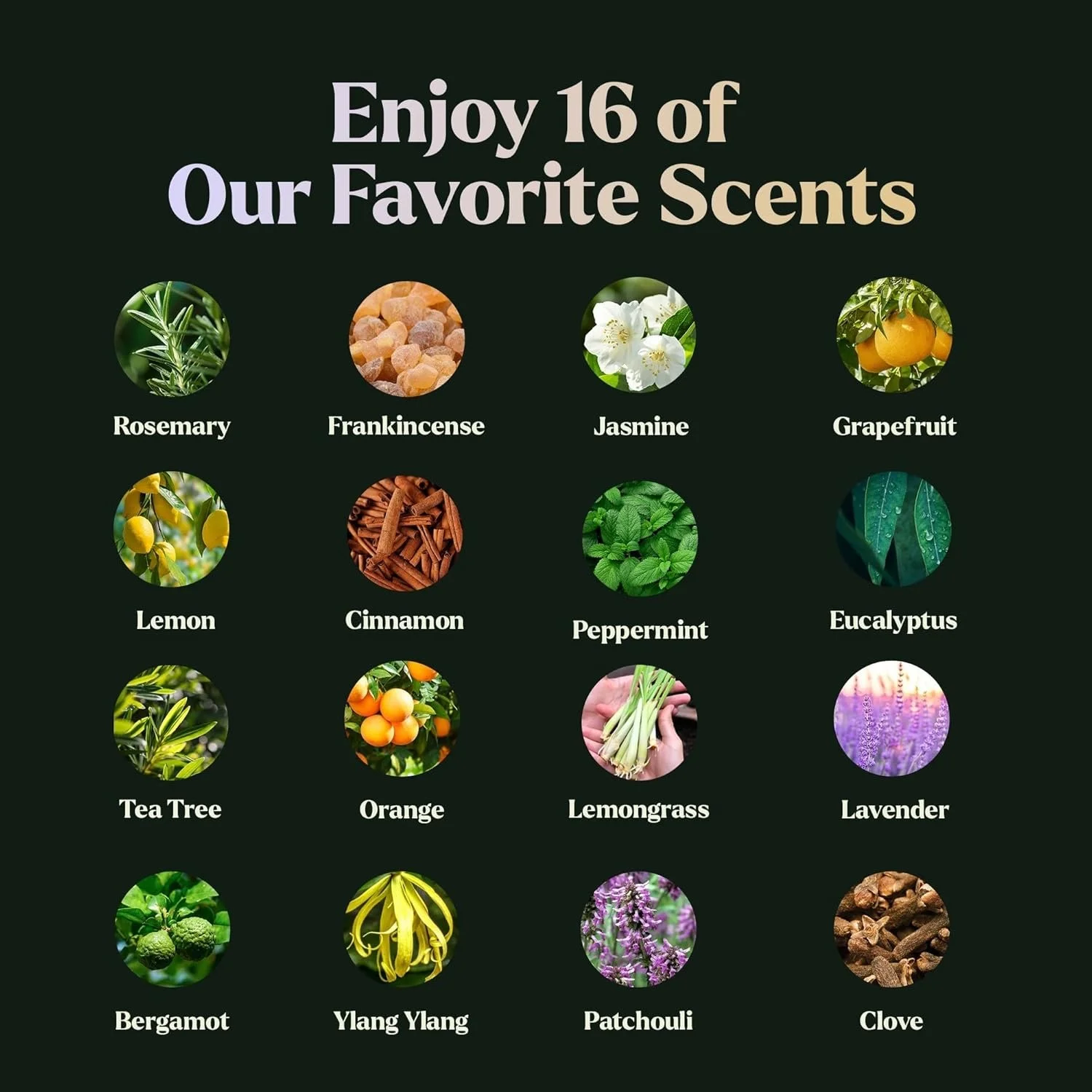 Essential Oils Set - 16 Pcs Premium Grade Home Essentials Oils - for Diffusers, Fragrance, Scents for Candle Making - Natural Aromatherapy Oils for Cars & Home Products, Room Sprays1.jpg