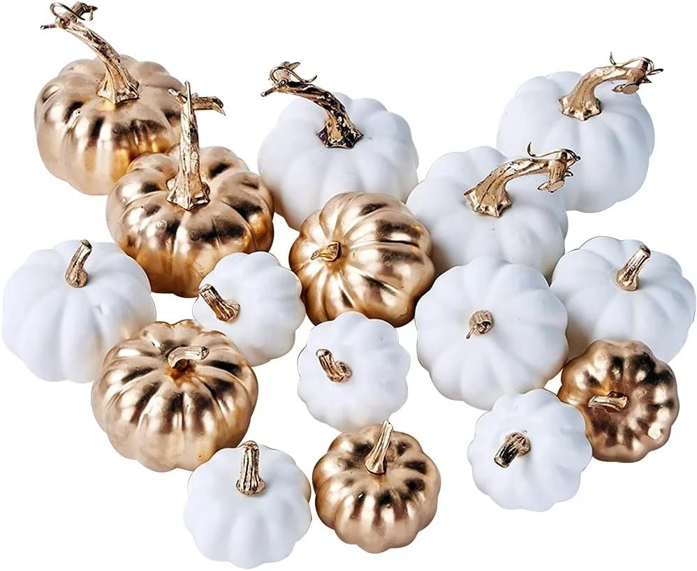 pupmkin harvest.jpg
