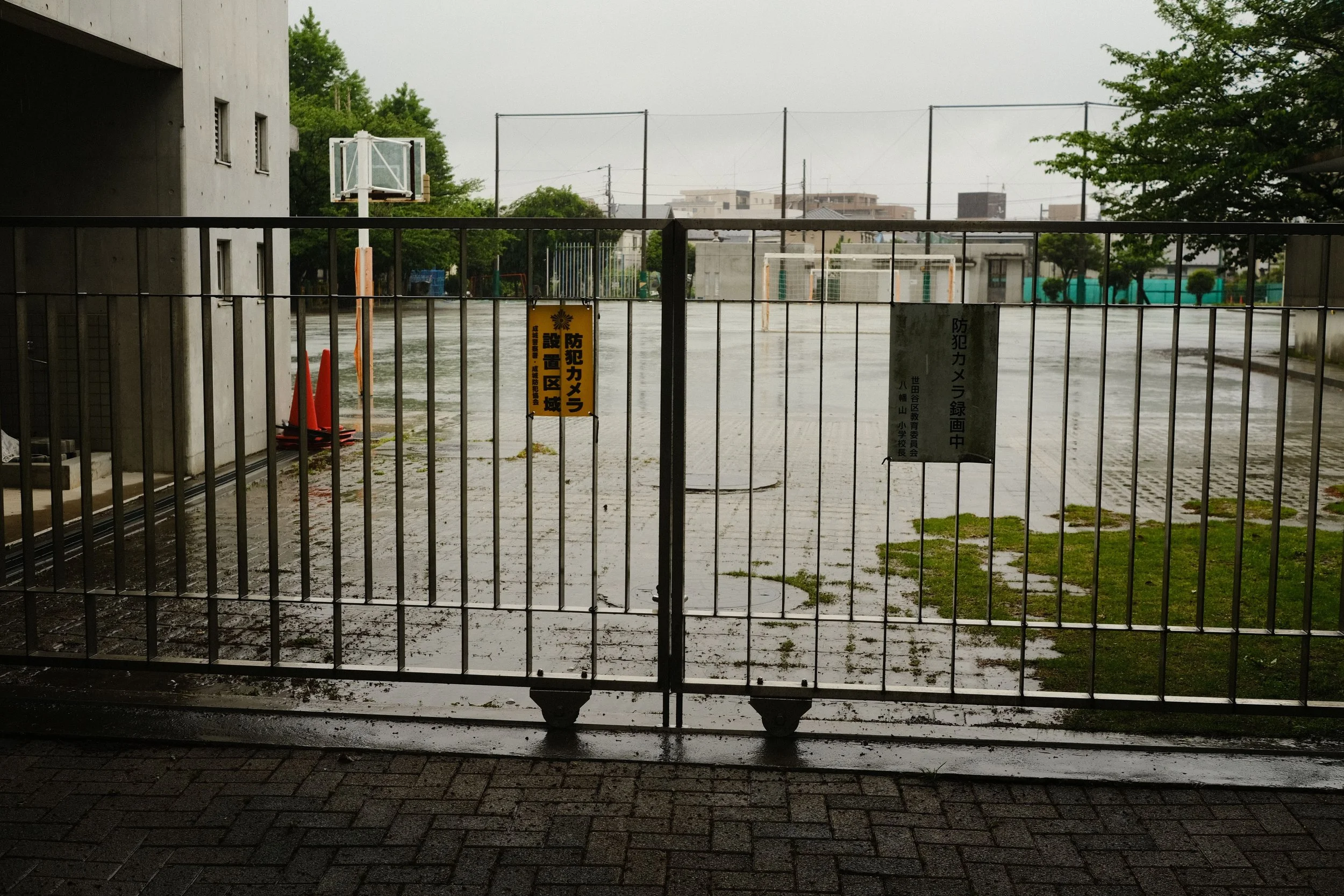 Schools May Be Closed This Summer… But Your EHCP Doesn't Stop
