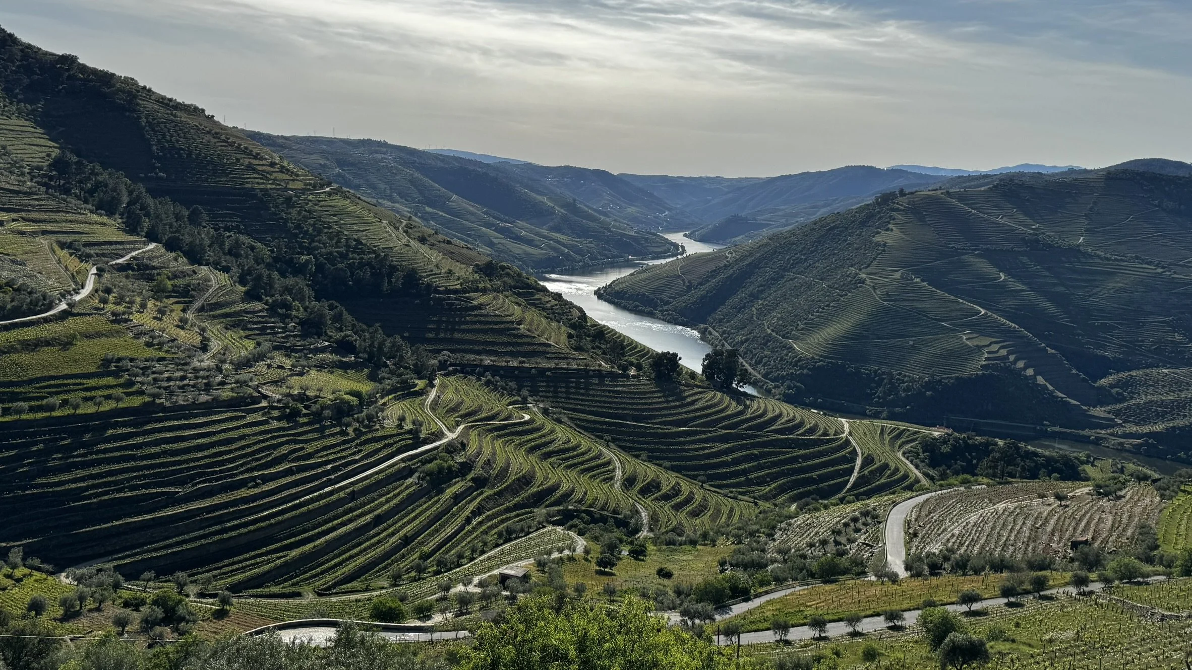 A scenic view of terraced vineyards on rolling hills with a river winding through the valley below, under a partly cloudy sky.