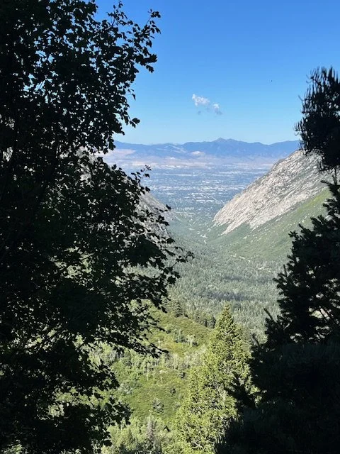 Scenic view of a valley with mountains in the background, framed by trees in the foreground and a mountain trail on the right, path through the mountains, mountain apex and tops in the background.