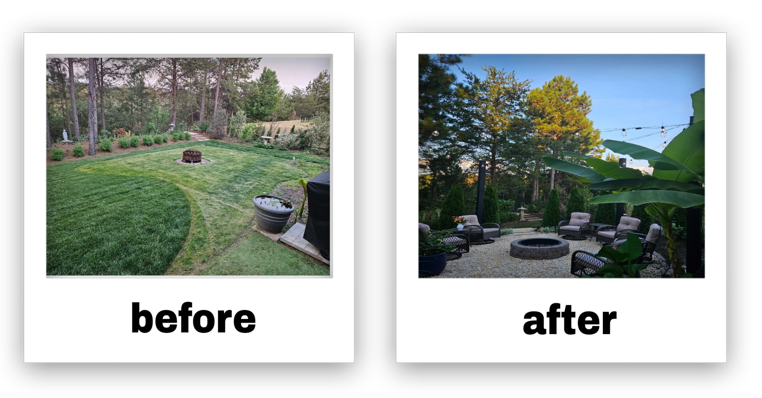 before and after photo