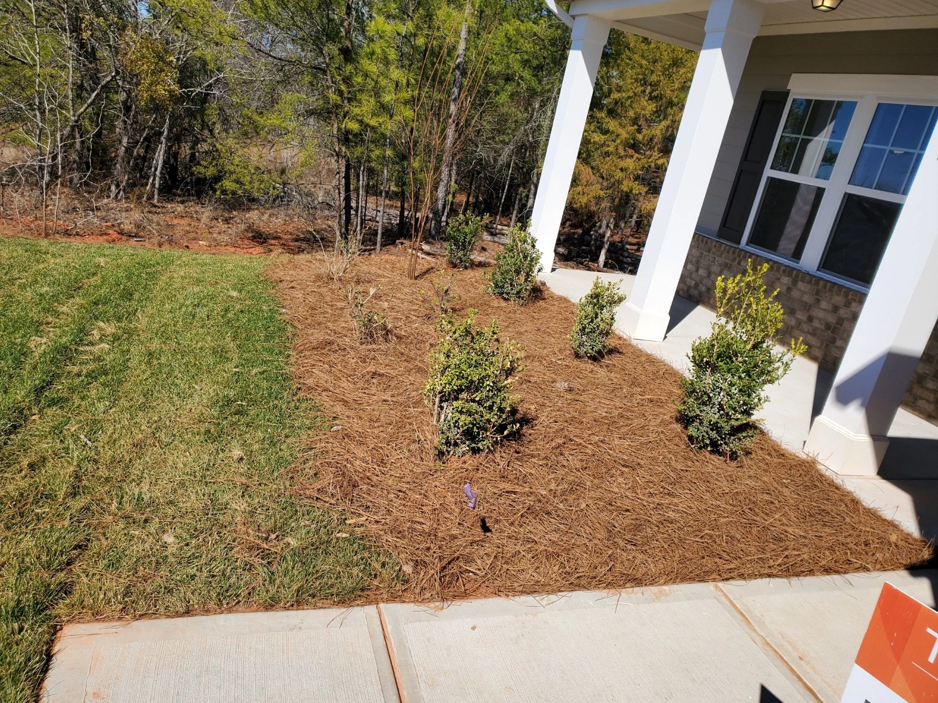 Original Builder Grade Landscape